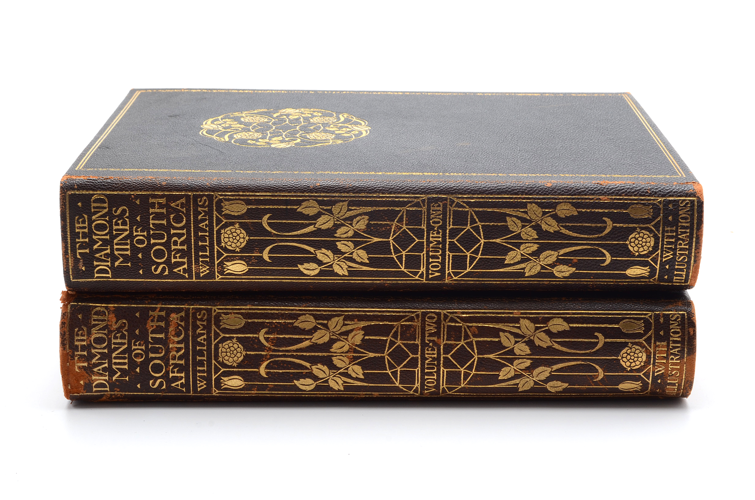 "The Diamond Mines of South Africa" by Gardner F. Williams, Published in 1905