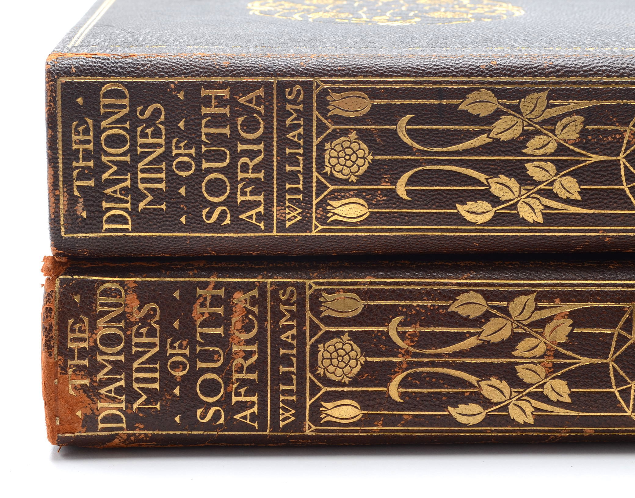 "The Diamond Mines of South Africa" by Gardner F. Williams, Published in 1905