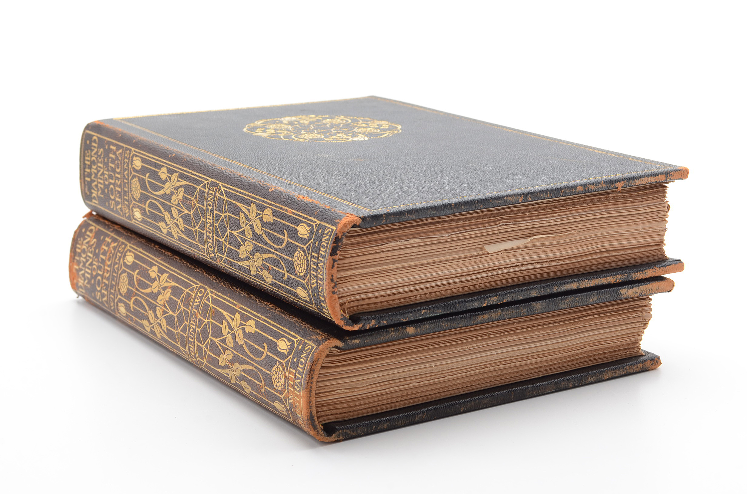 "The Diamond Mines of South Africa" by Gardner F. Williams, Published in 1905