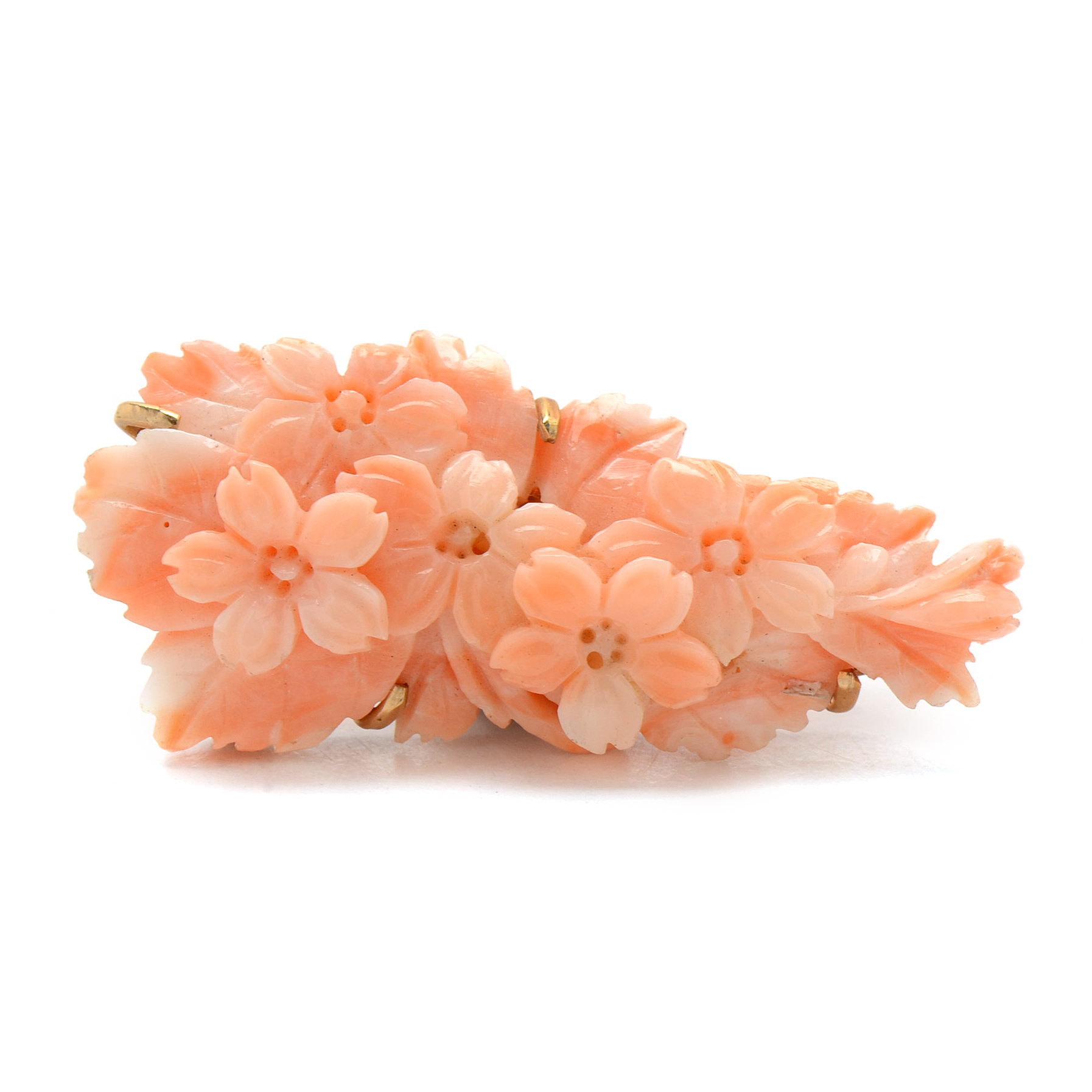 14K Yellow Gold Carved Angel Skin Coral Brooch