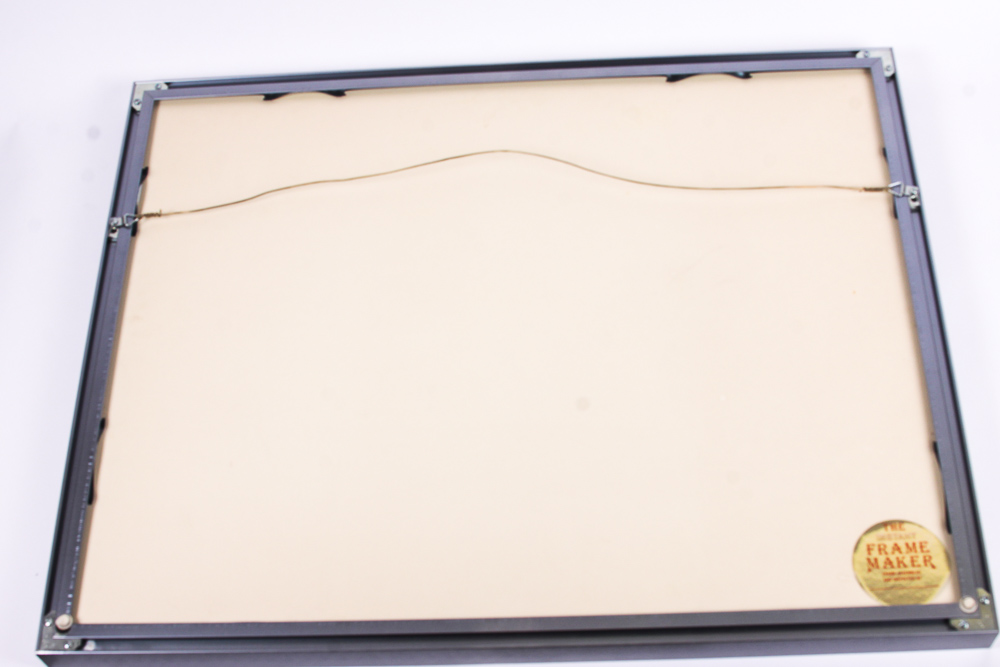 Military Plane Photographic Print