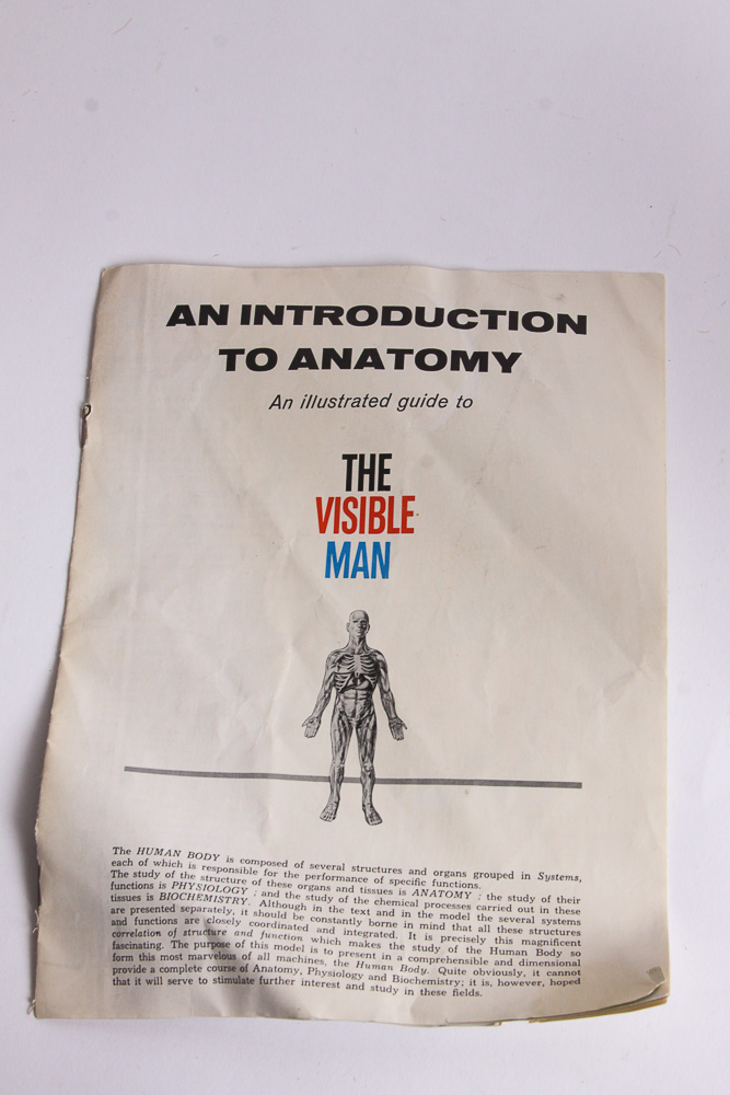 "The Visible Man" Anatomy Learning Toy