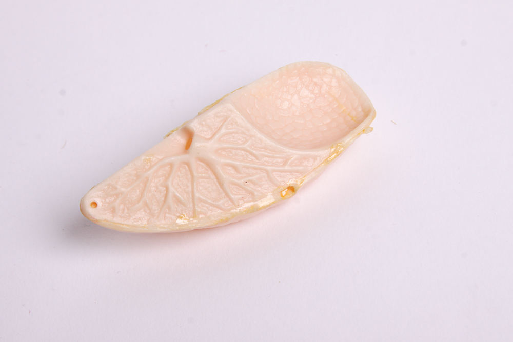 "The Visible Man" Anatomy Learning Toy