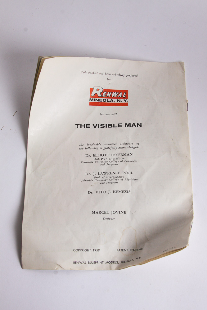 "The Visible Man" Anatomy Learning Toy