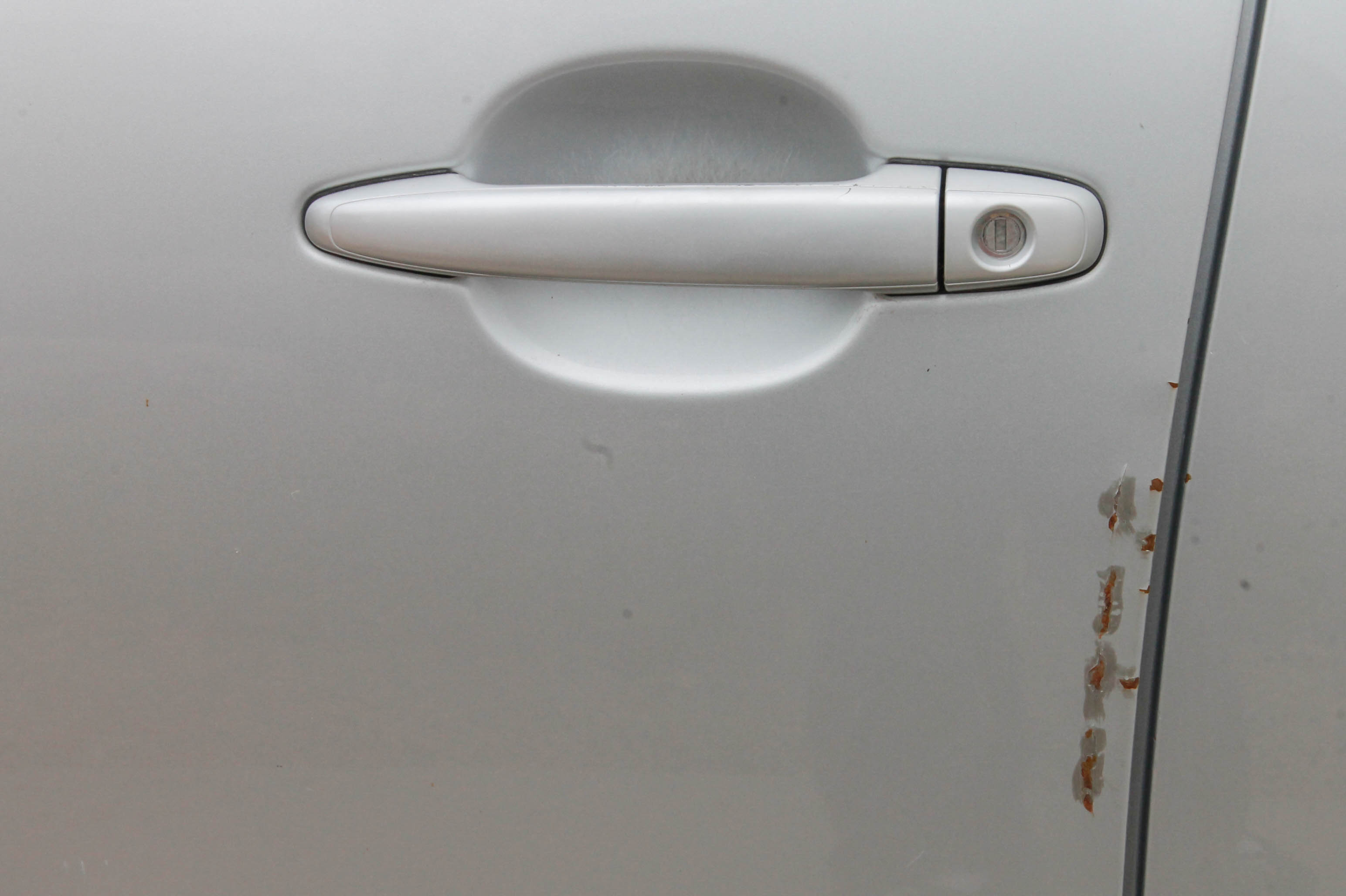 2006 Toyota Tacoma Pickup Truck