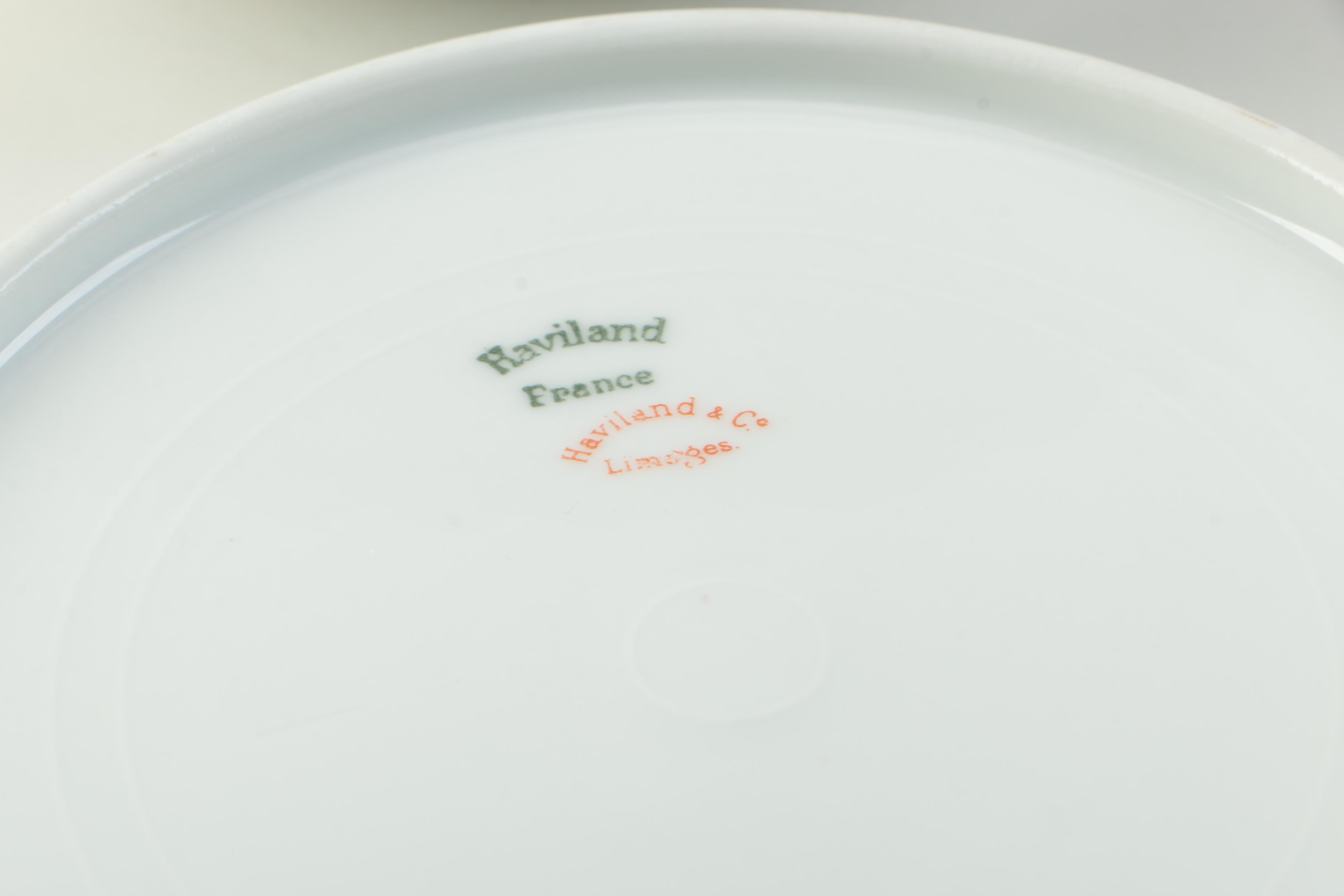 Vintage Haviland Limoges "The Princess" Porcelain Dinner Service