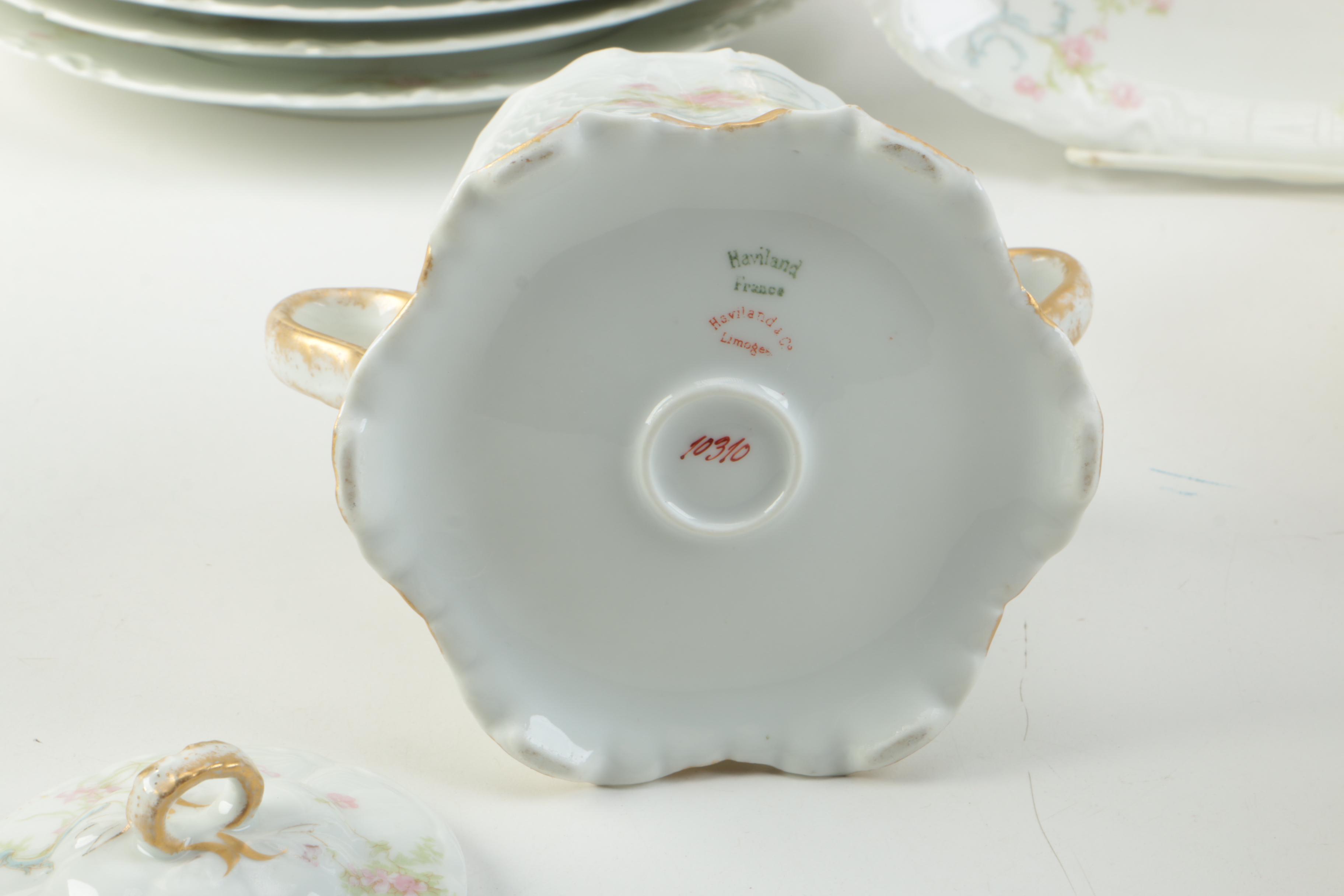 Vintage Haviland Limoges "The Princess" Porcelain Dinner Service