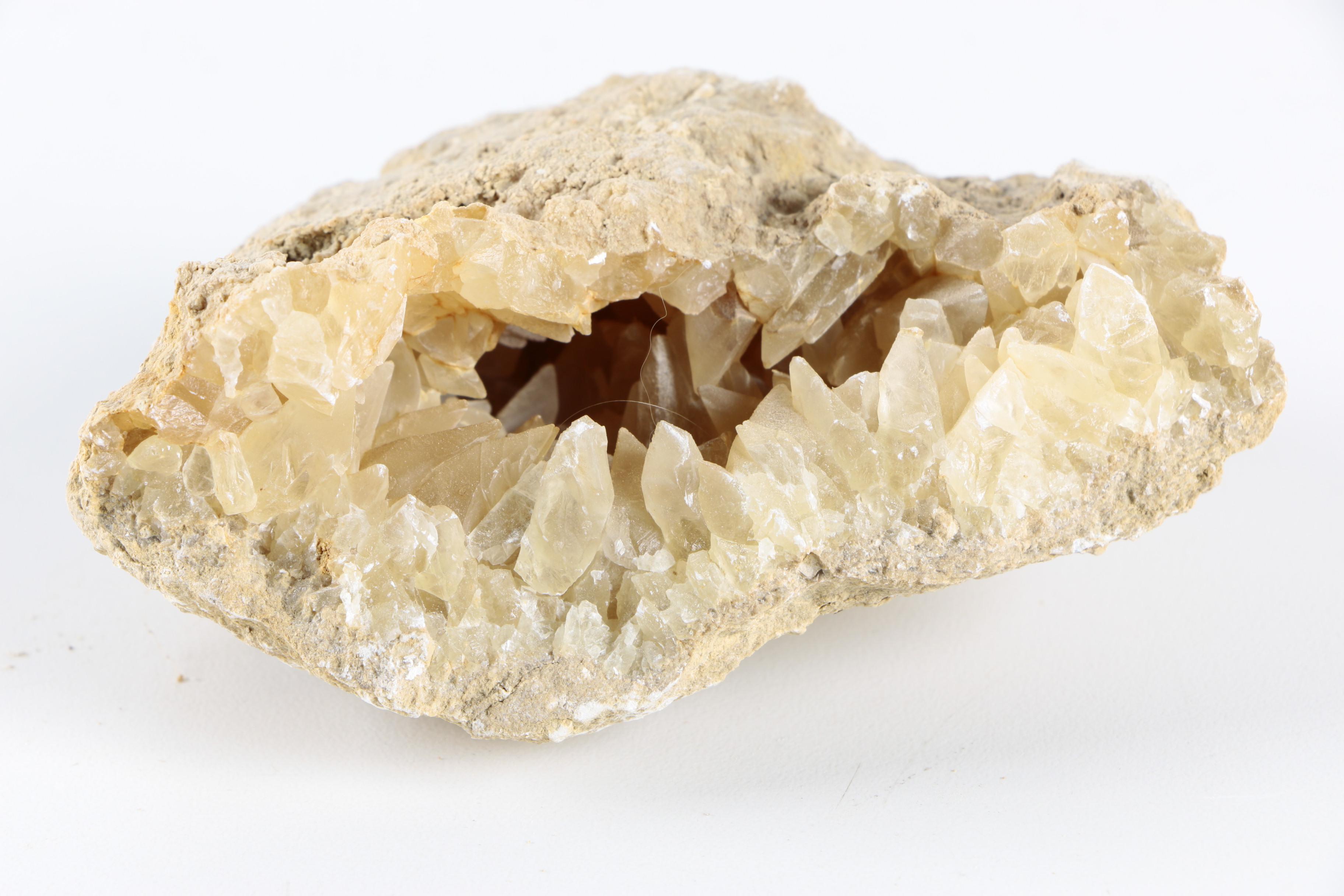 Fossil and Mineral Specimens