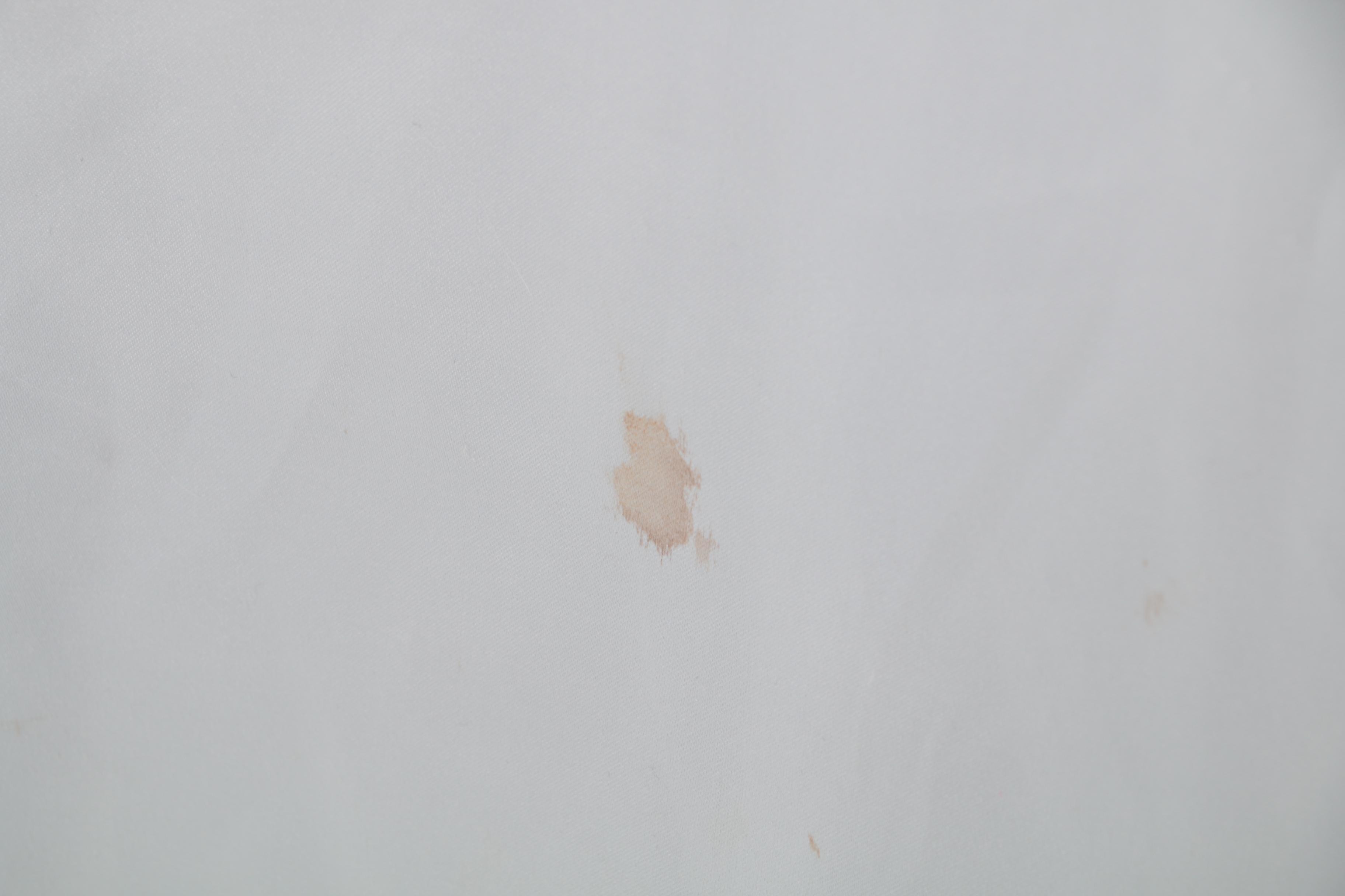 Fox Fur Coat by Saga Fox