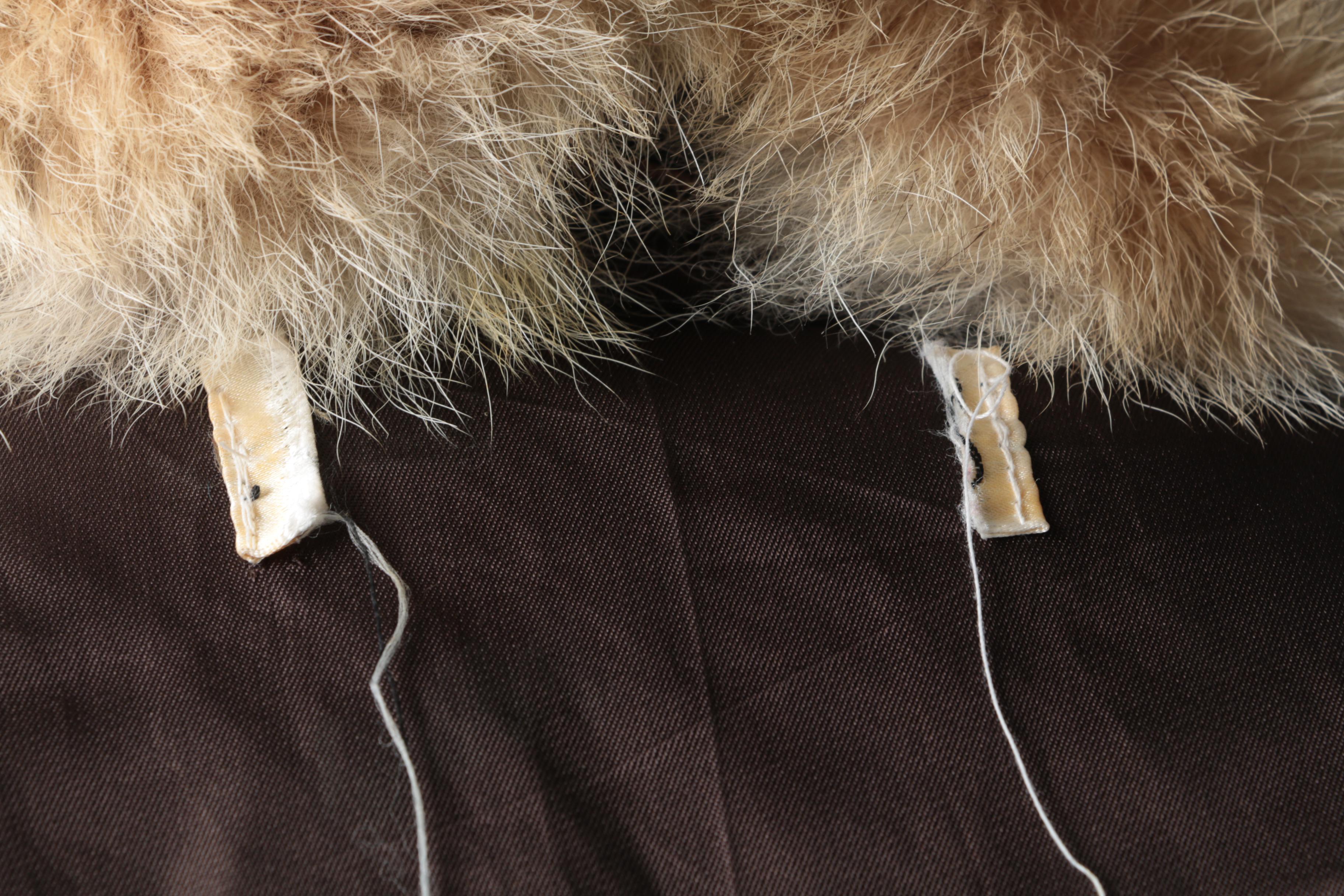 Women's Coyote Fur Trimmed Leather Jacket