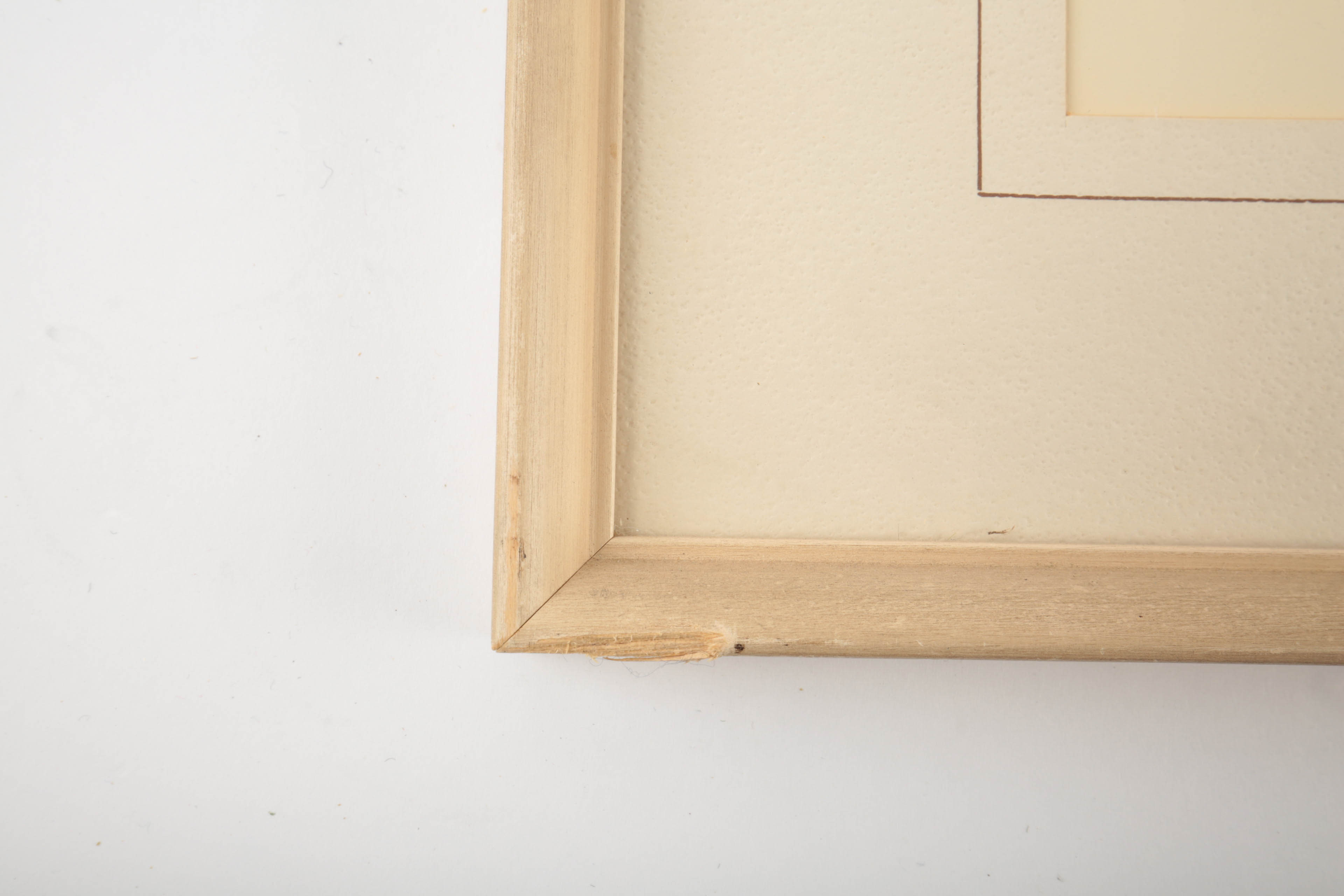 Offset Lithograph After Roger Tory Peterson "Redheaded Woodpecker"