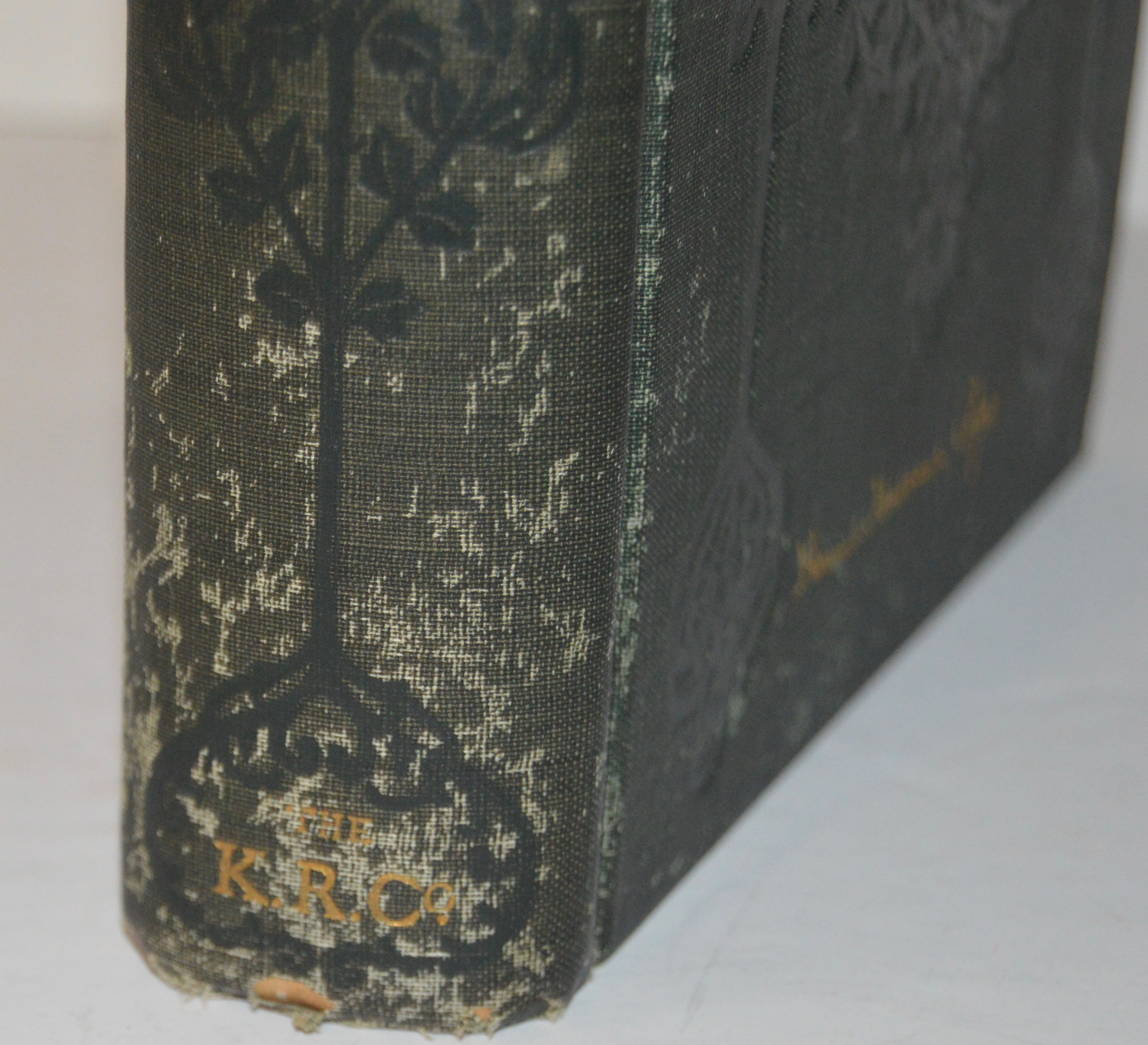 Antique Harriet Hubbard Ayer’s Health Beauty Illustrated Book