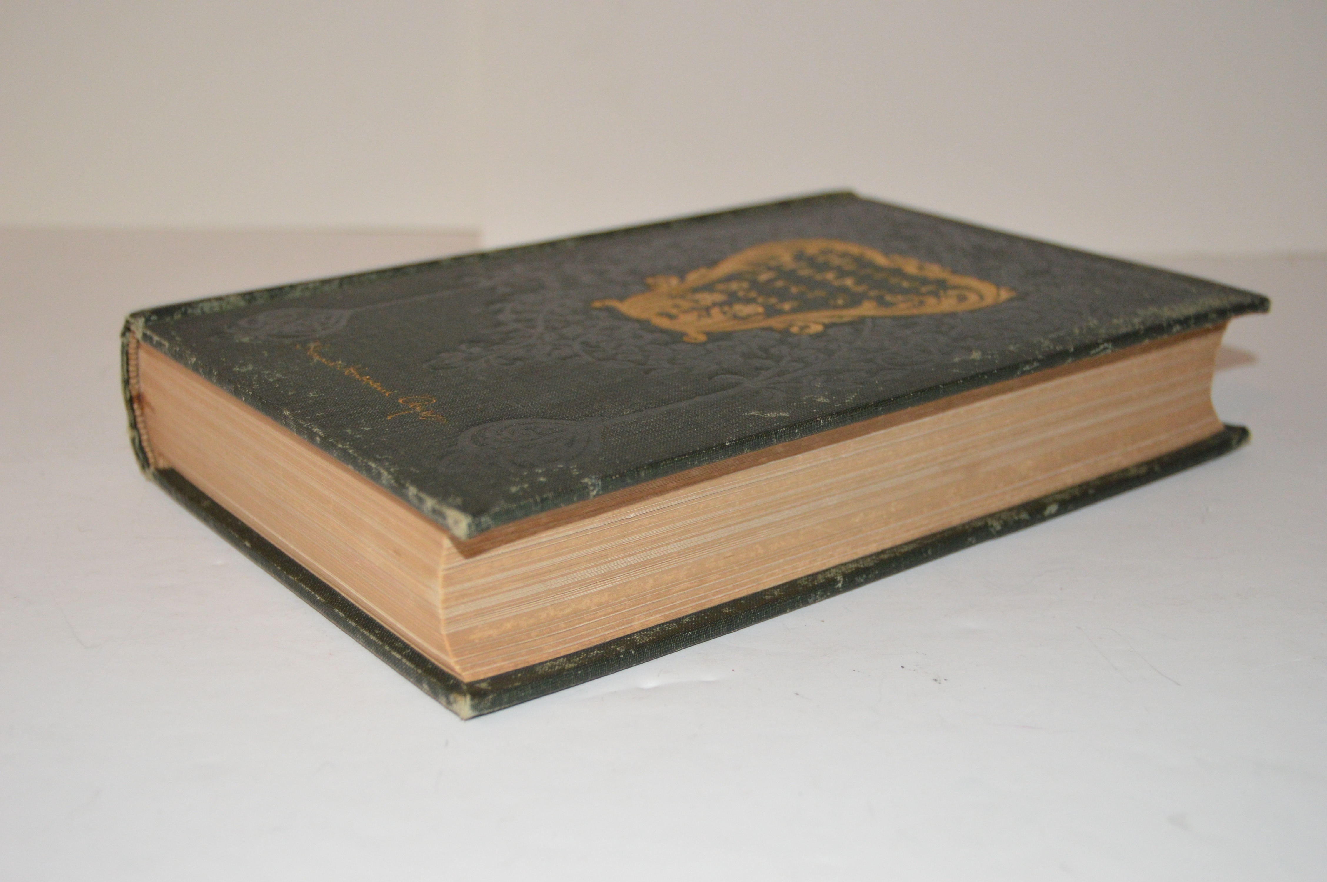 Antique Harriet Hubbard Ayer’s Health Beauty Illustrated Book