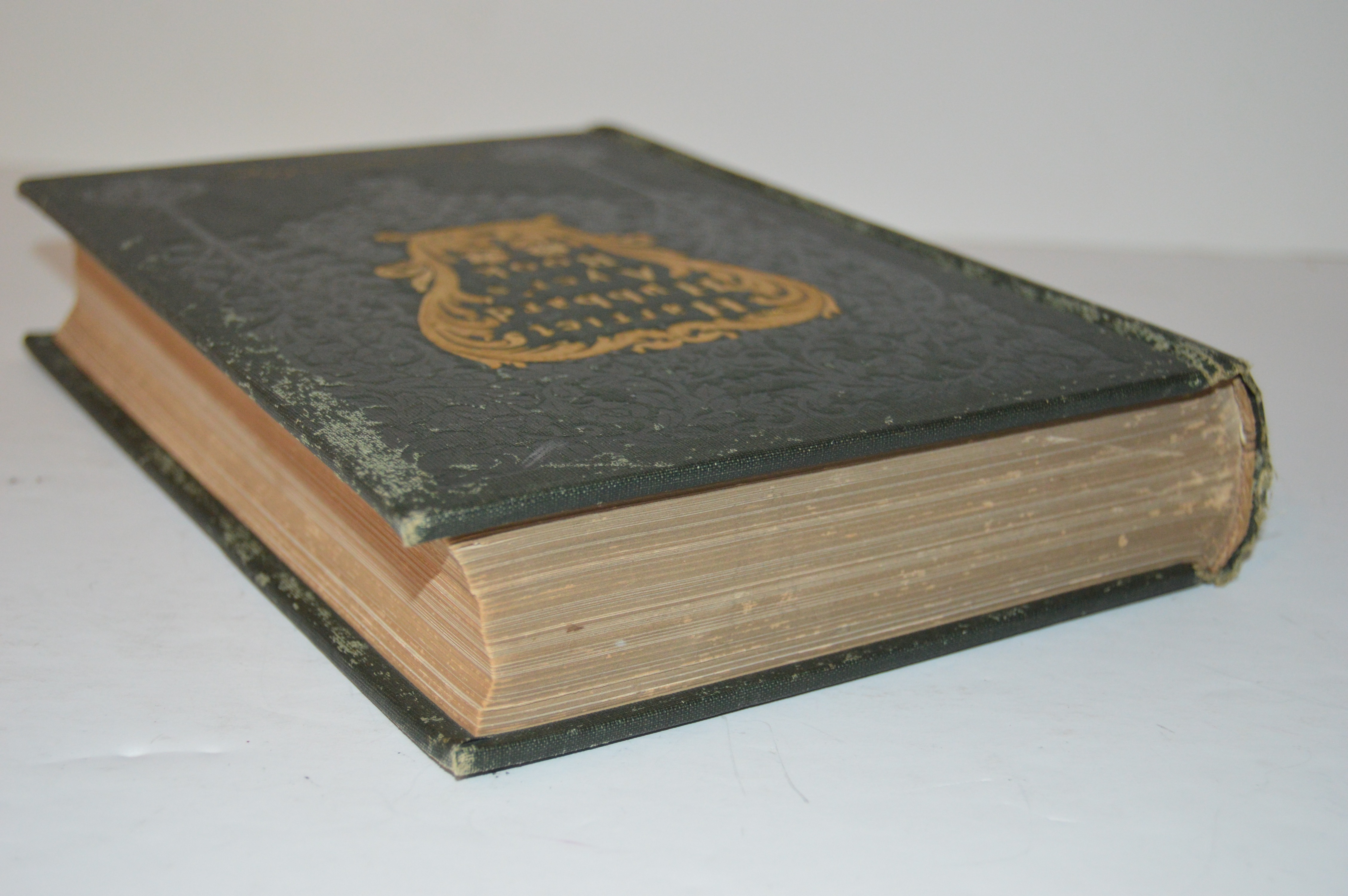 Antique Harriet Hubbard Ayer’s Health Beauty Illustrated Book