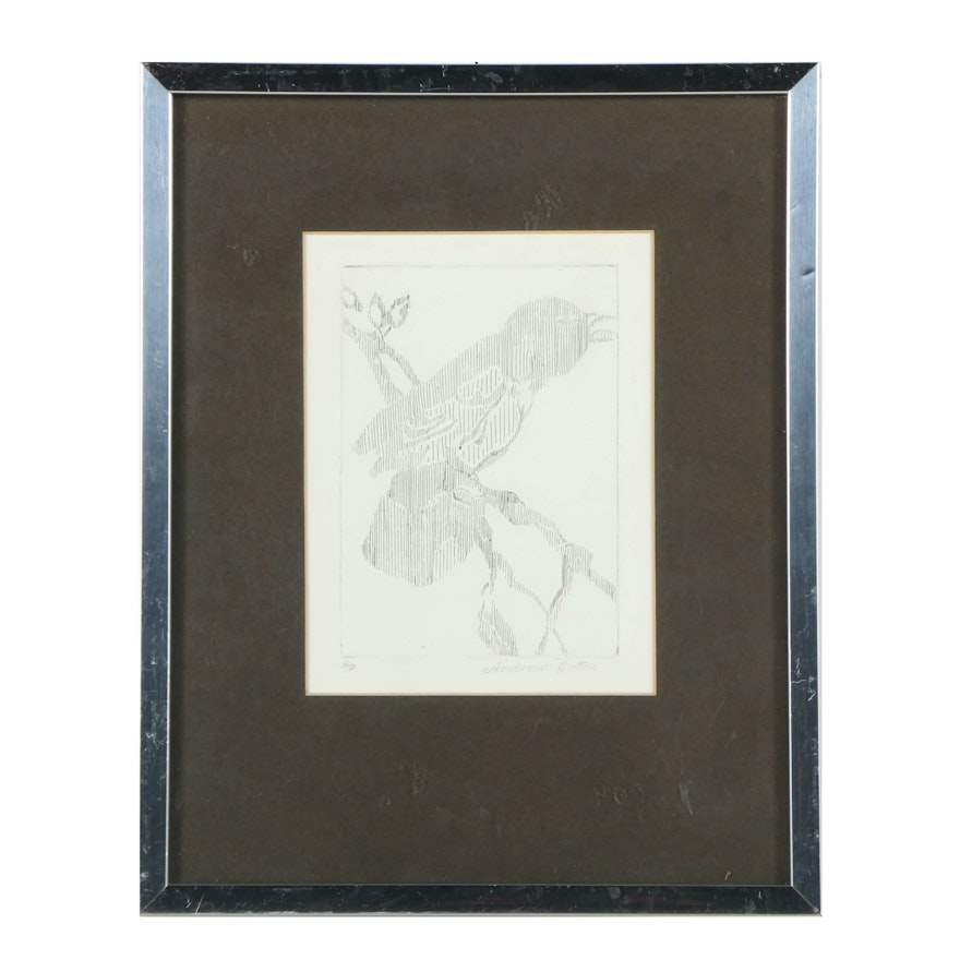 Andrew Cotter Limited Edition Etching of a Bird on a Branch