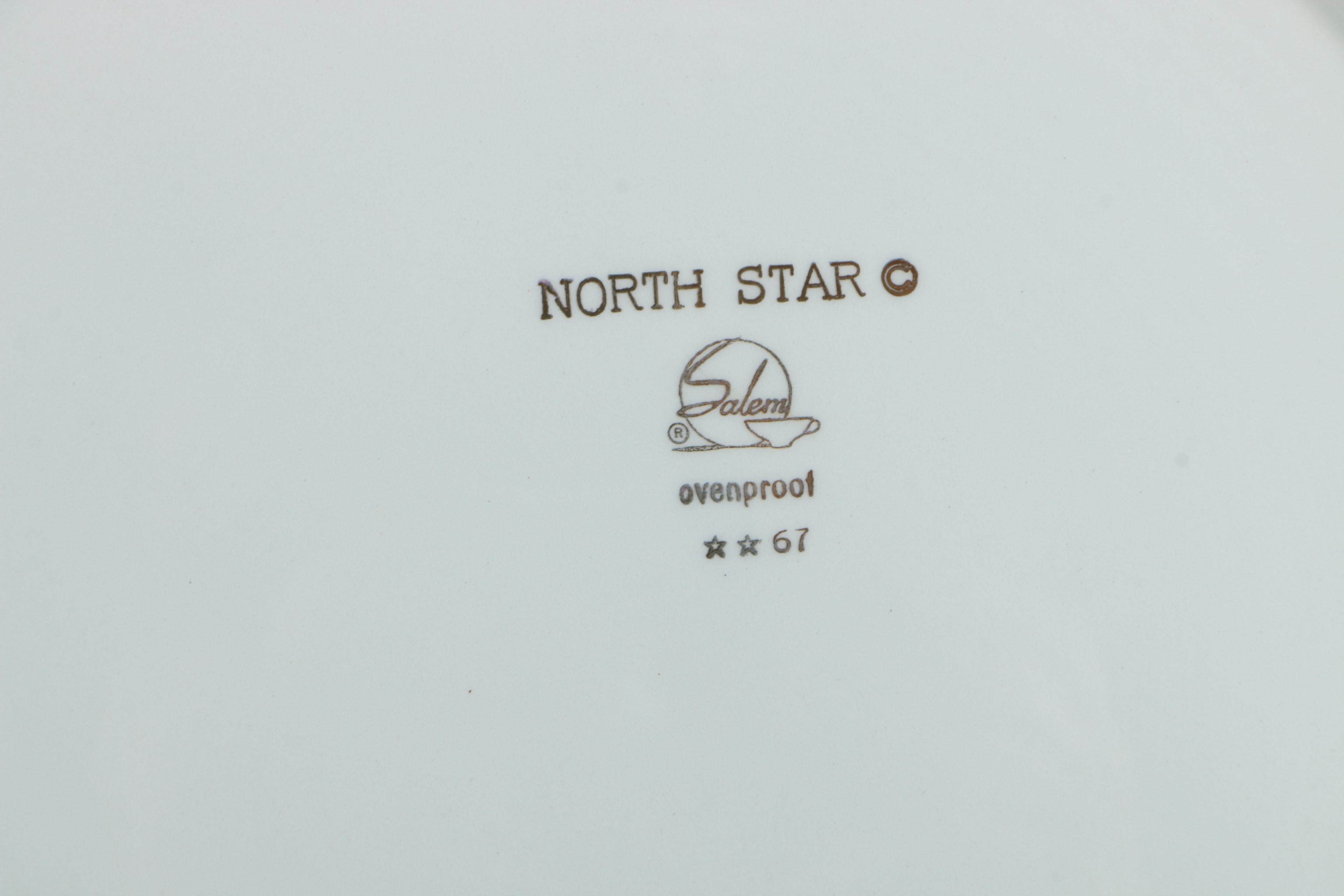 Mid Century Tableware including Franciscan "Starburst" and Salem "North Star"