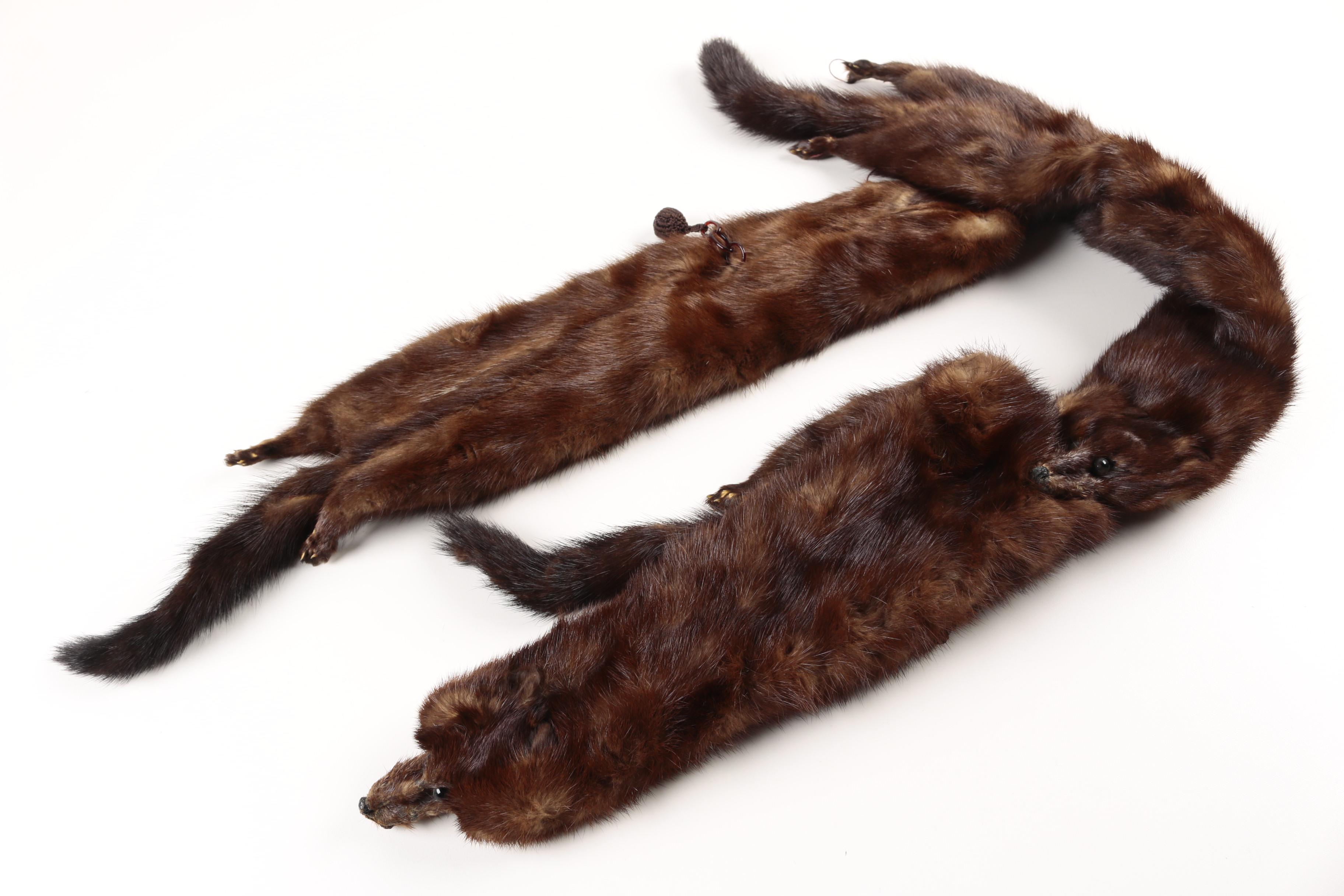 Vintage Ranch Mink Pelt Fur Stoles