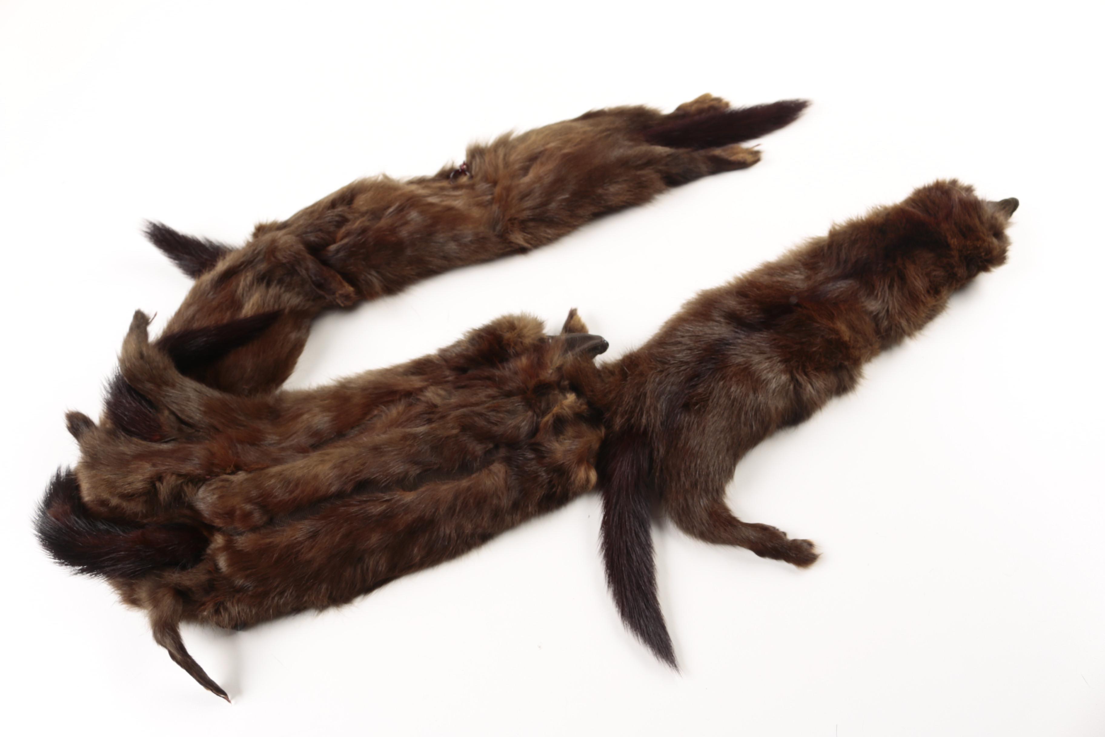 Vintage Ranch Mink Pelt Fur Stoles