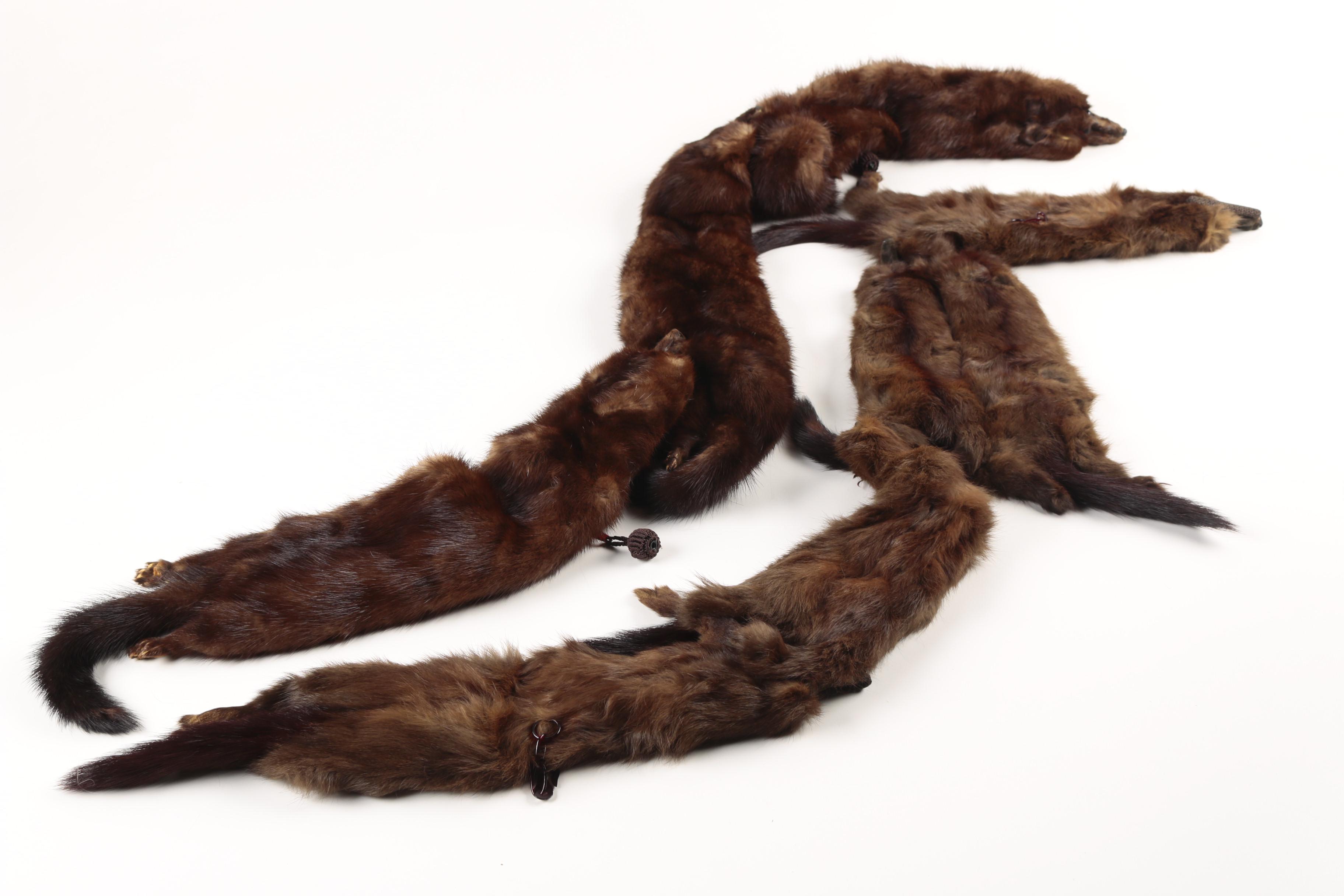 Vintage Ranch Mink Pelt Fur Stoles