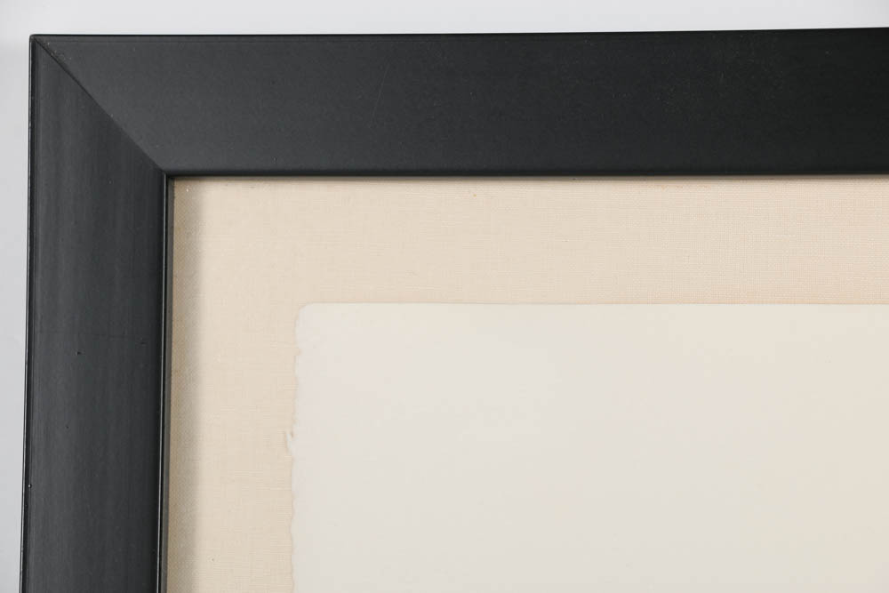 Helmut Barnett Serigraph Print on Paper "MD-80"