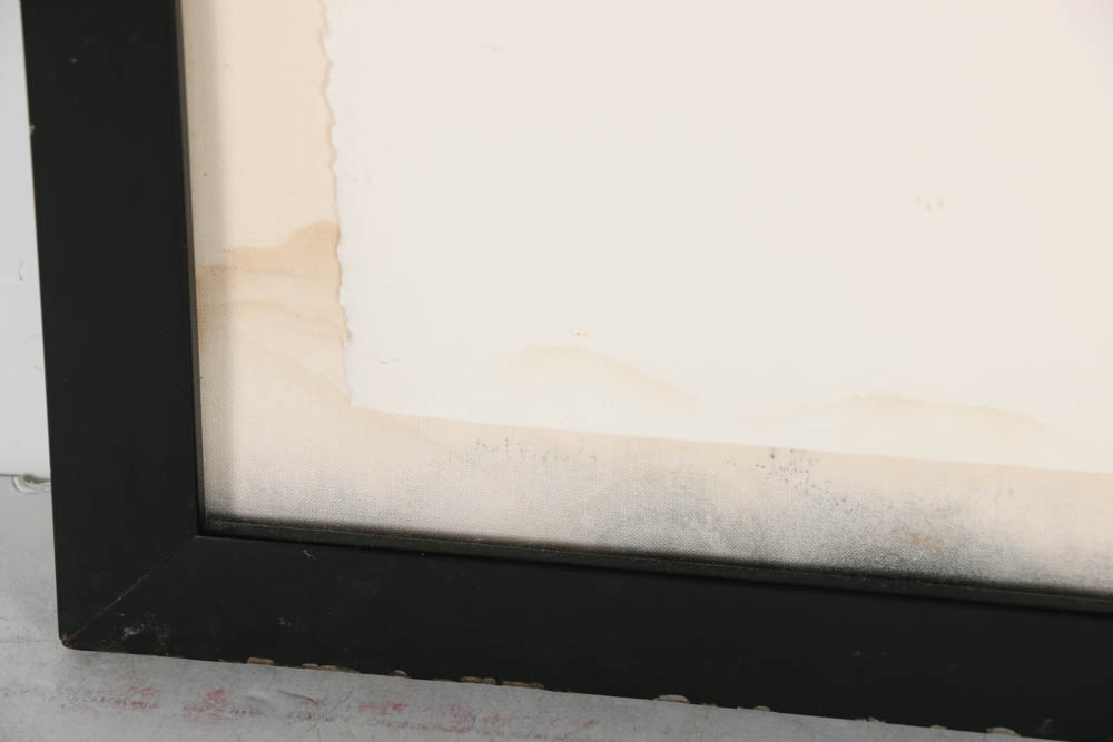 Helmut Barnett Serigraph Print on Paper "MD-80"