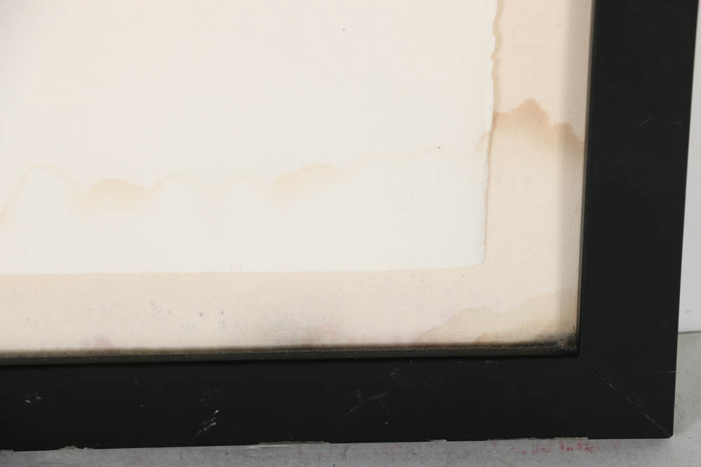 Helmut Barnett Serigraph Print on Paper "MD-80"