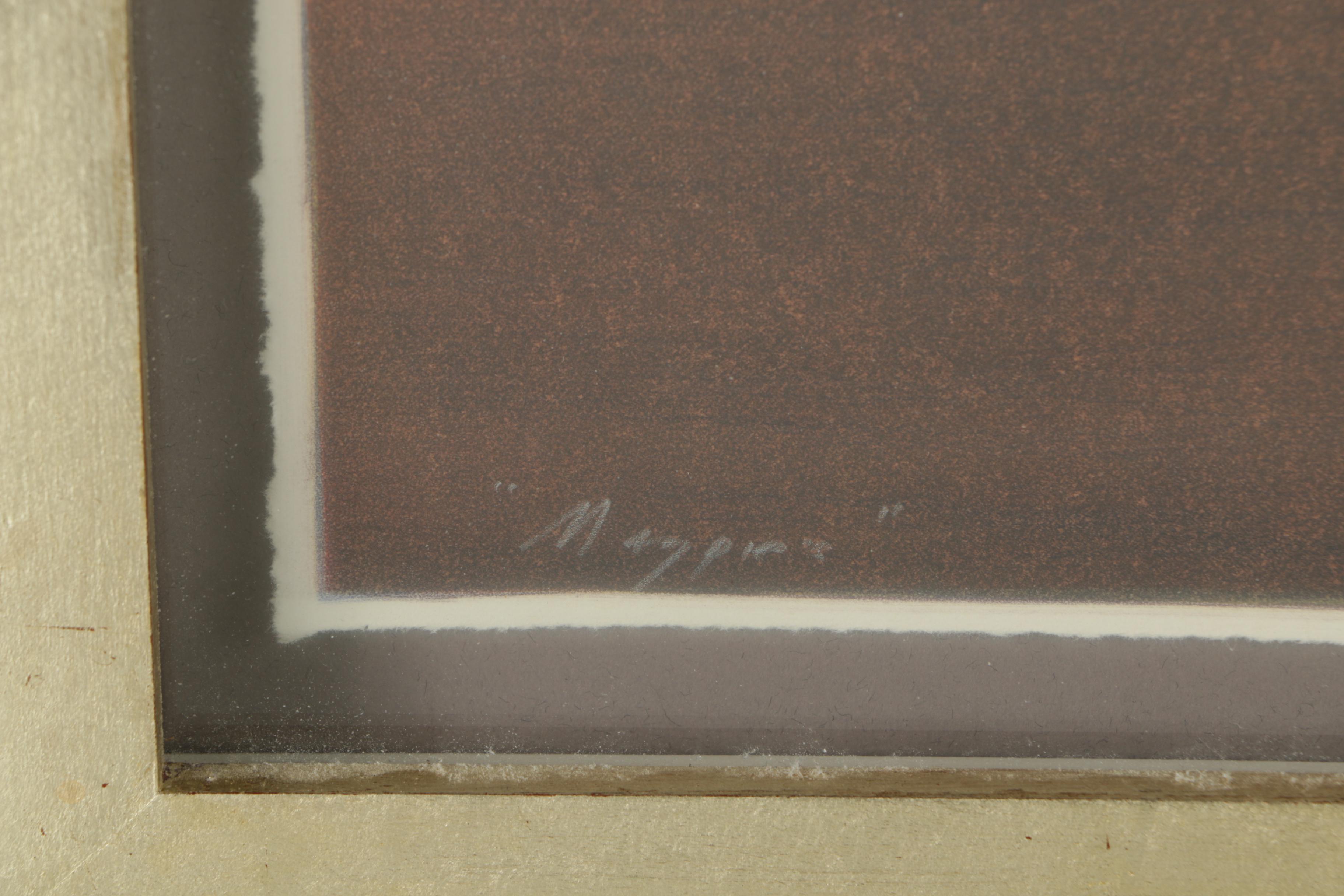 Lithograph on Paper of Birds