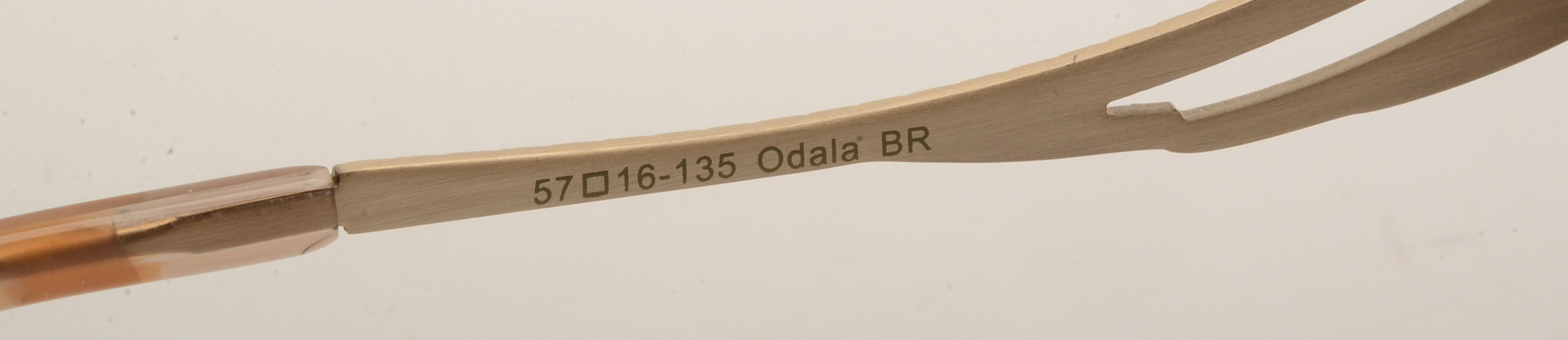 Vera Wang "Odala"  Sunglasses