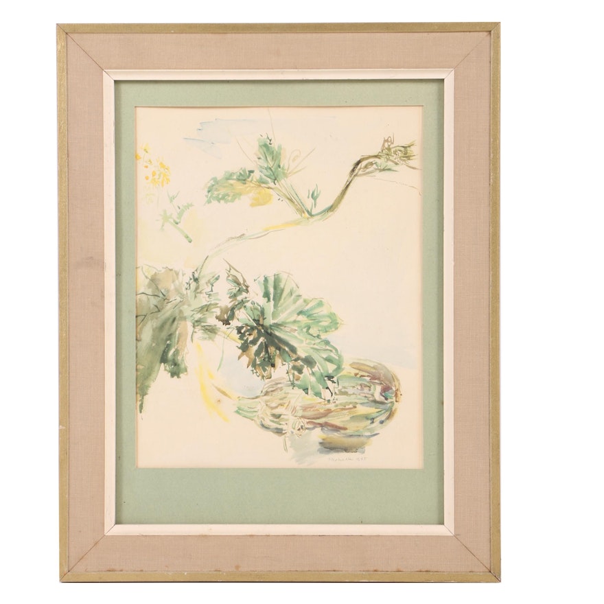 Vintage Watercolor Painting on Paper of a Vine