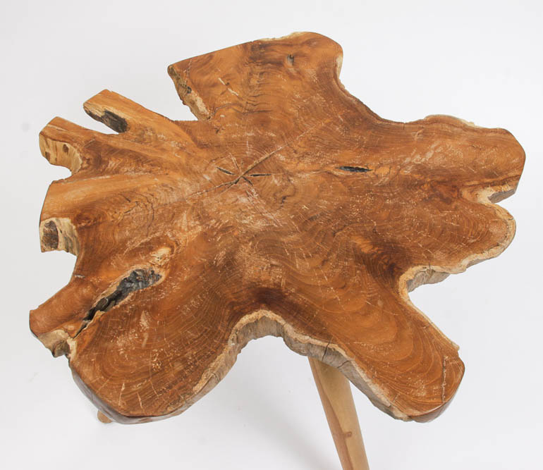 Tree Trunk Slab Side Table