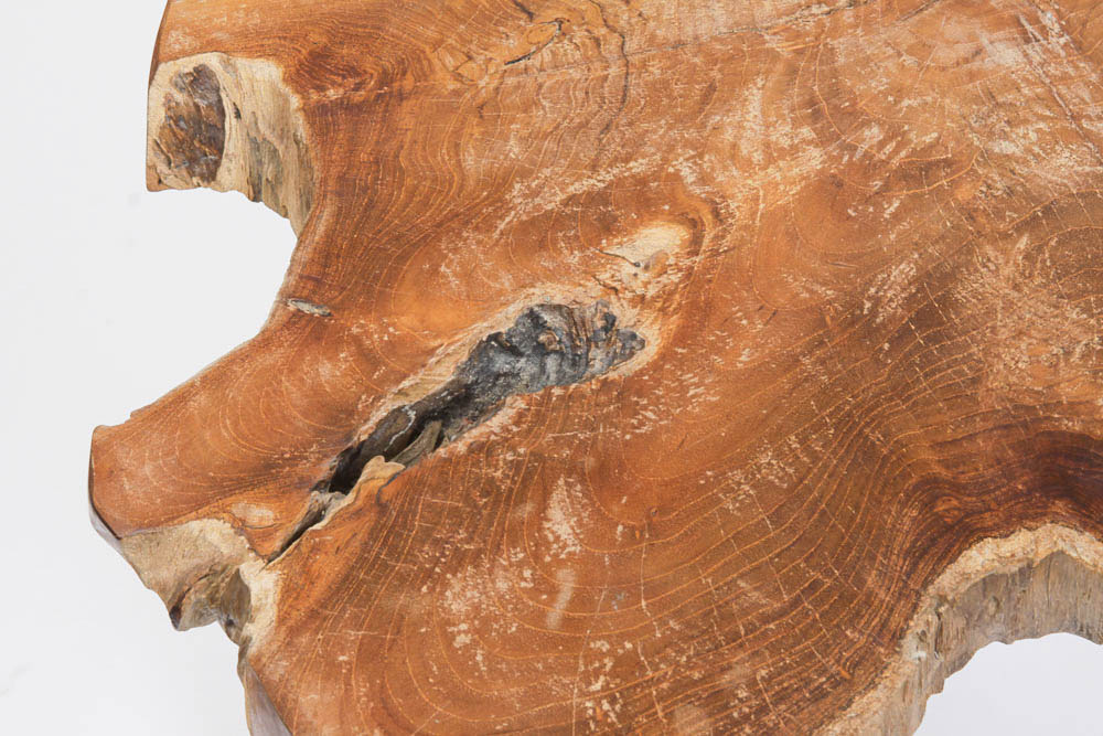 Tree Trunk Slab Side Table