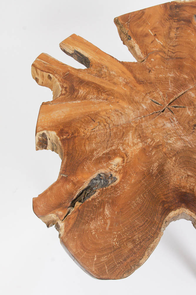 Tree Trunk Slab Side Table