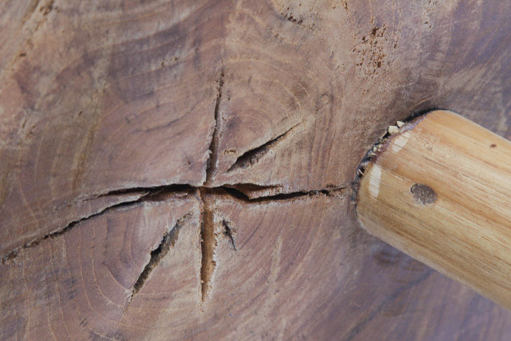 Tree Trunk Slab Side Table
