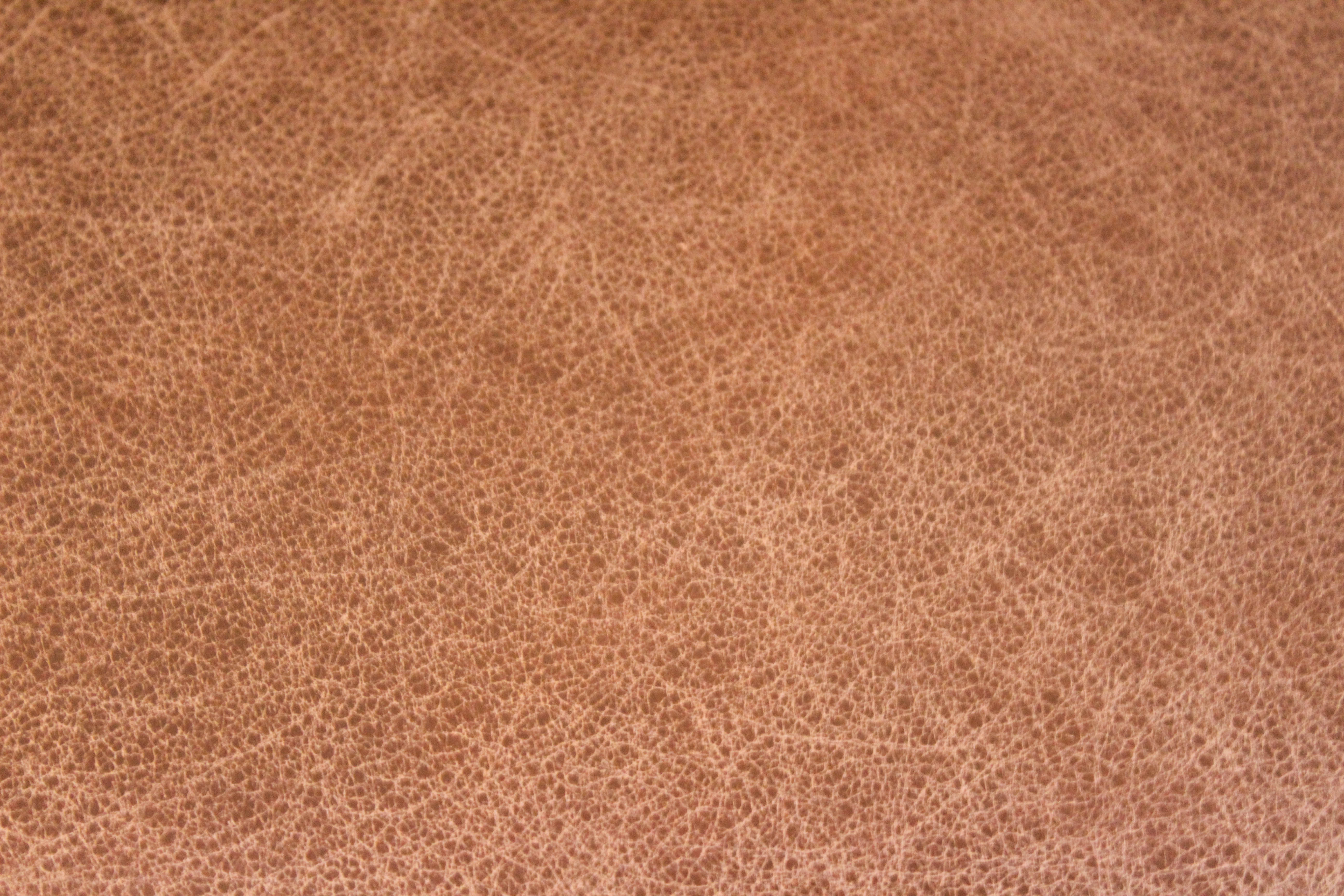 Louis XIV Style Dining Chairs from The Biltmore Estate's "Chateau Collection"