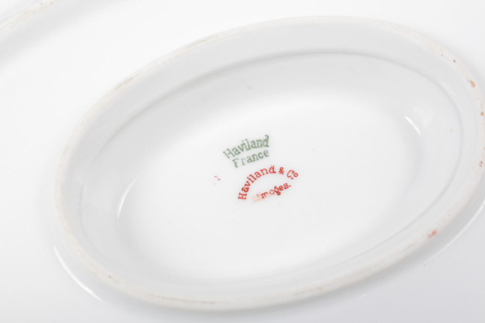 Haviland "Silver Anniversary" Fine China