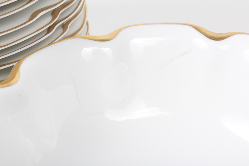 Haviland "Silver Anniversary" Fine China