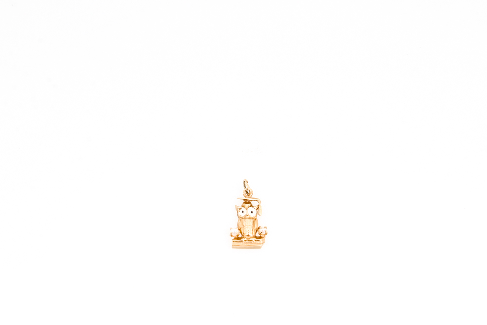 10K Yellow Gold Bracelet , 14K Yellow Gold Owl Pendant and Baroque Pearl Tie Pin