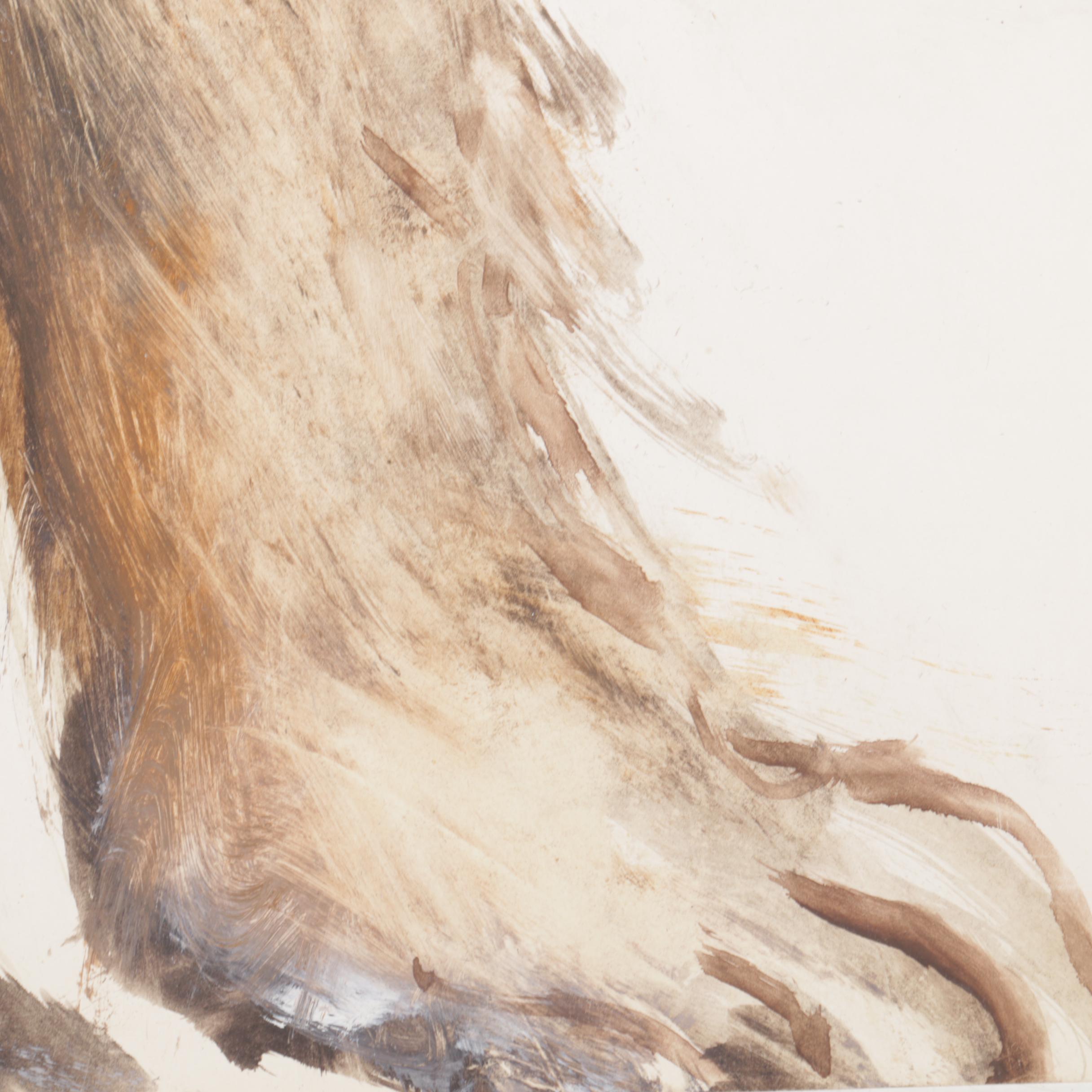 Miriam H. Beerman Goauche Paintings of Primates