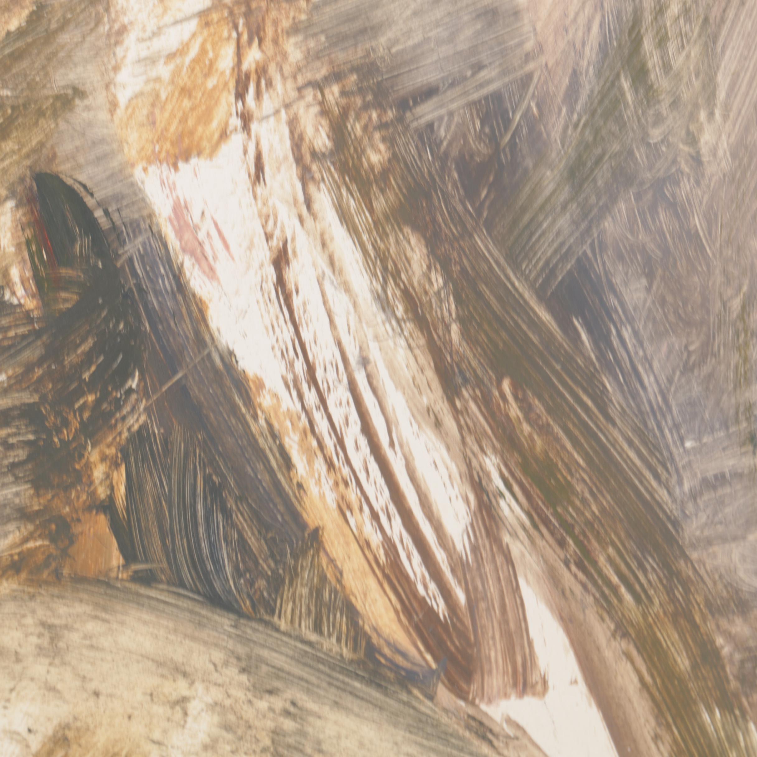 Miriam H. Beerman Goauche Paintings of Primates