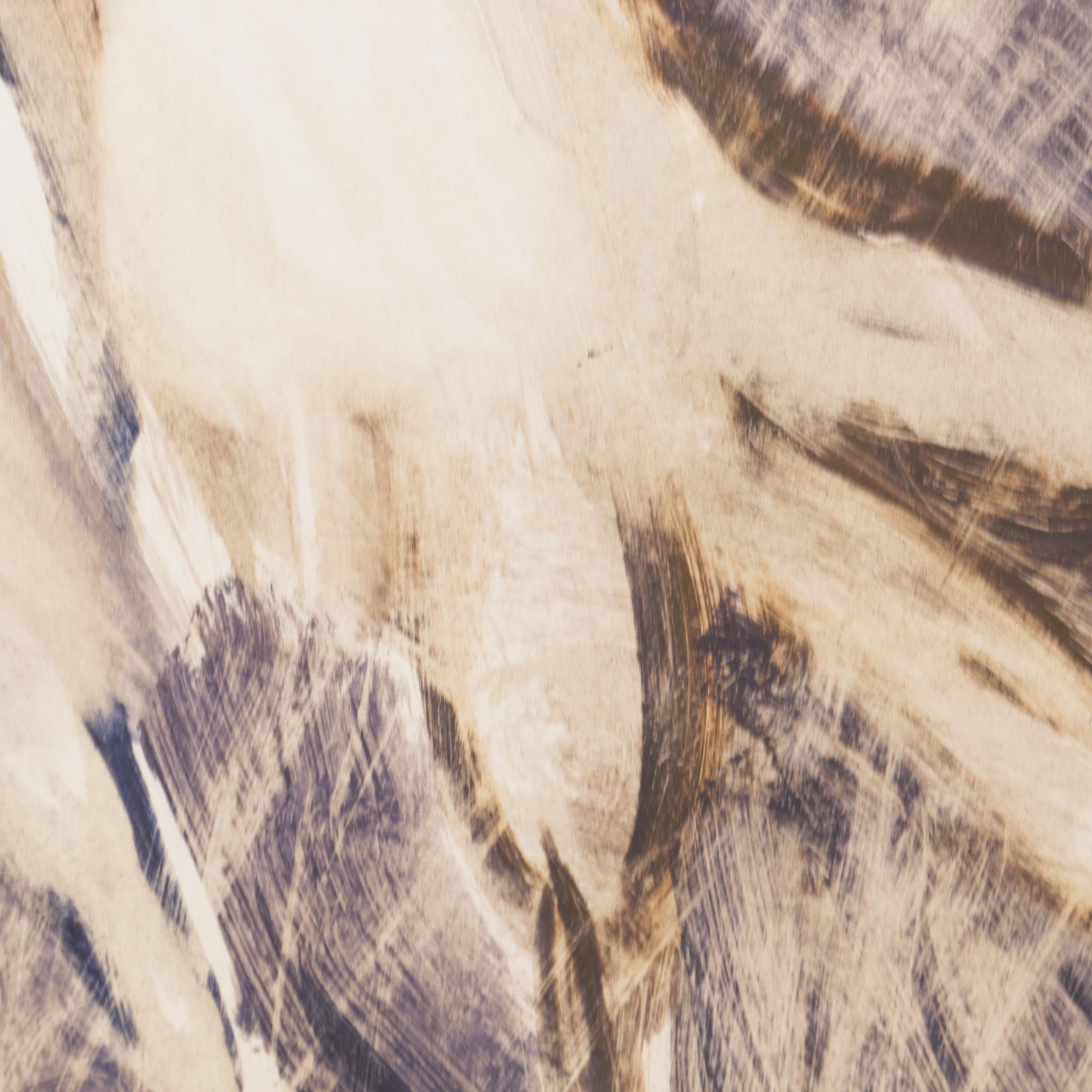 Miriam H. Beerman Goauche Paintings of Primates