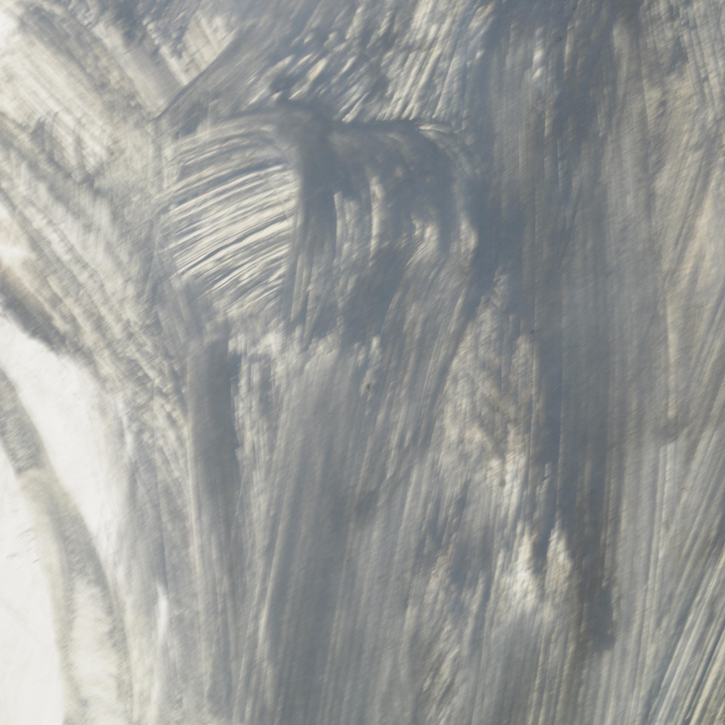 Miriam H. Beerman Goauche Paintings of Primates