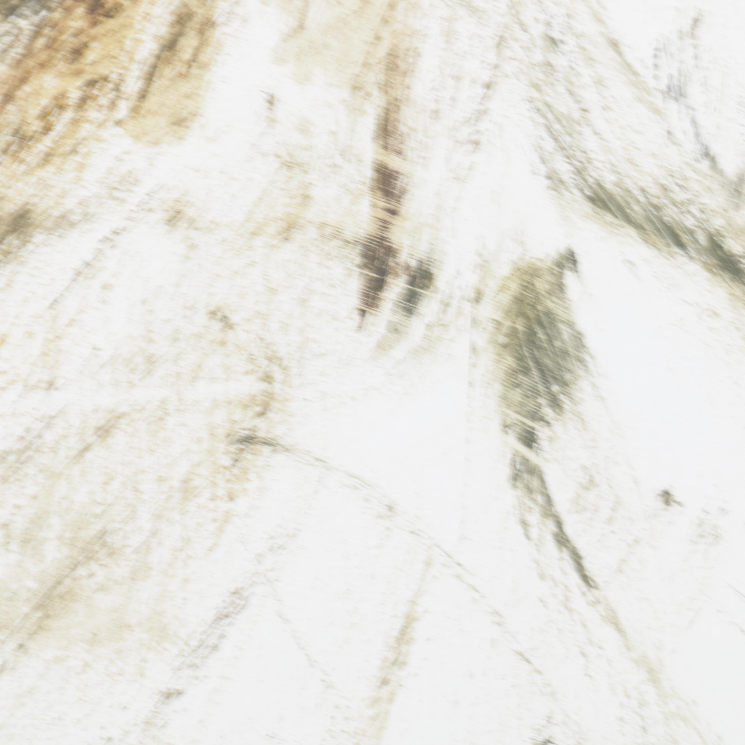 Miriam H. Beerman Goauche Paintings of Primates