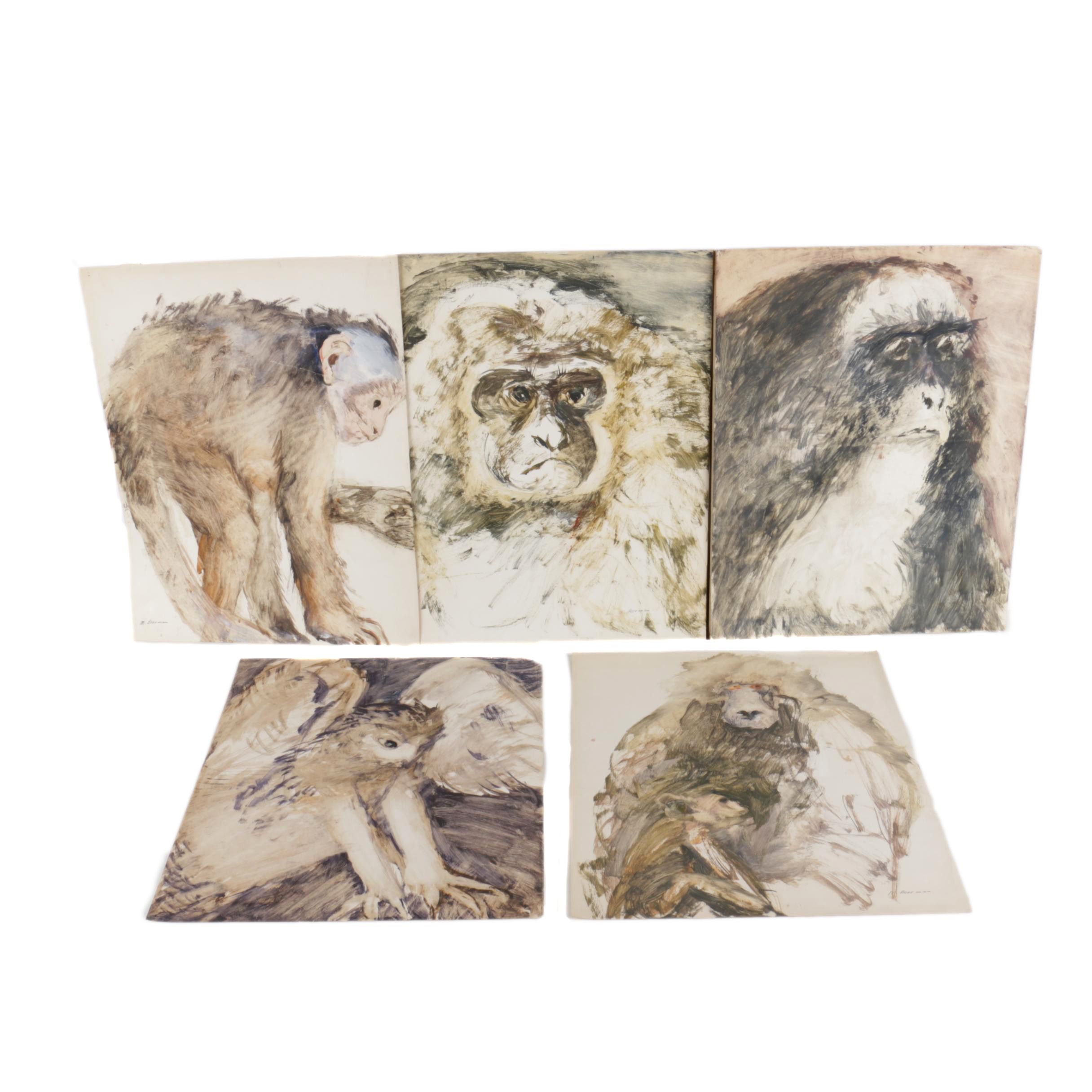 Miriam H. Beerman Goauche Paintings of Primates