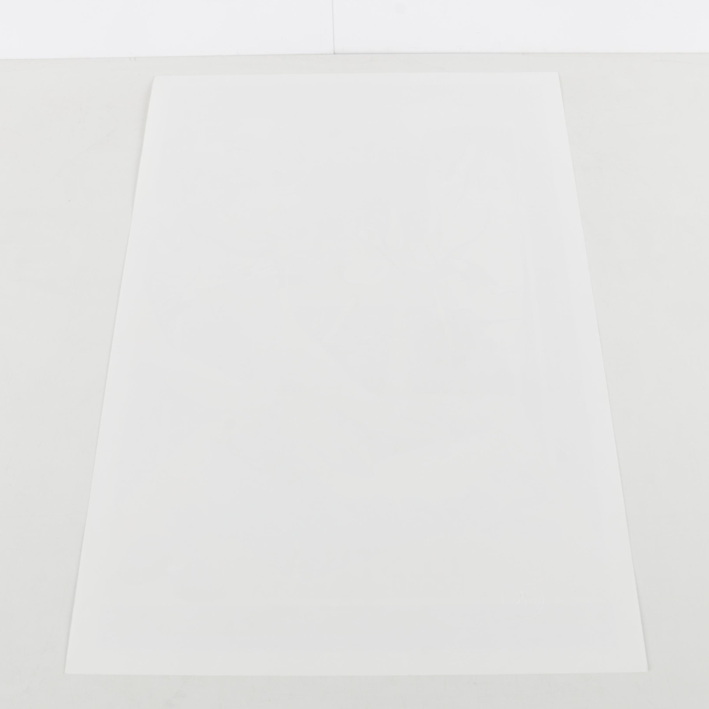 Durand Limited Edition 1998 Ponchatoula Strawberry Festival Serigraph Poster