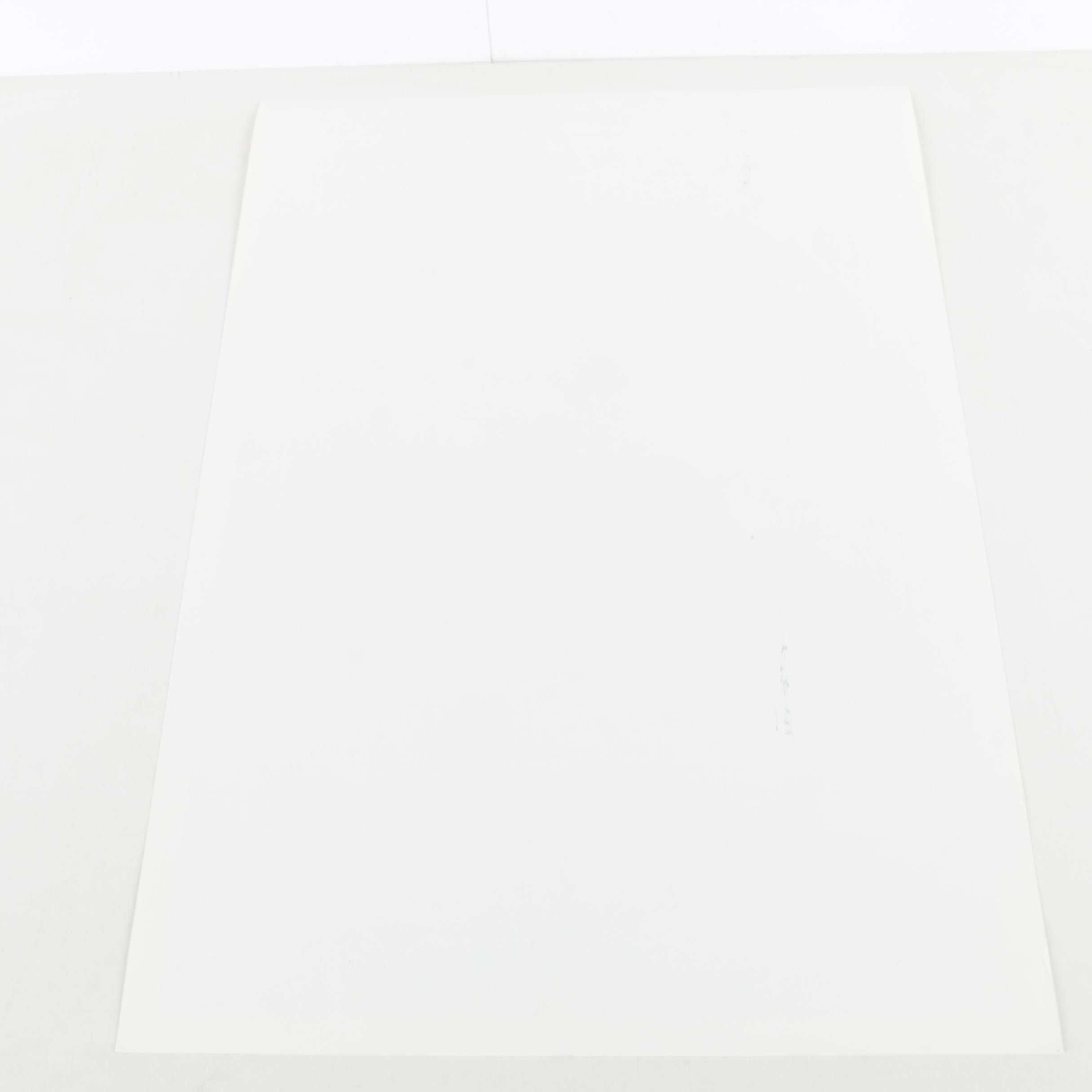 Holloway Limited Edition 1995 Ponchatoula Strawberry Festival Serigraph Poster