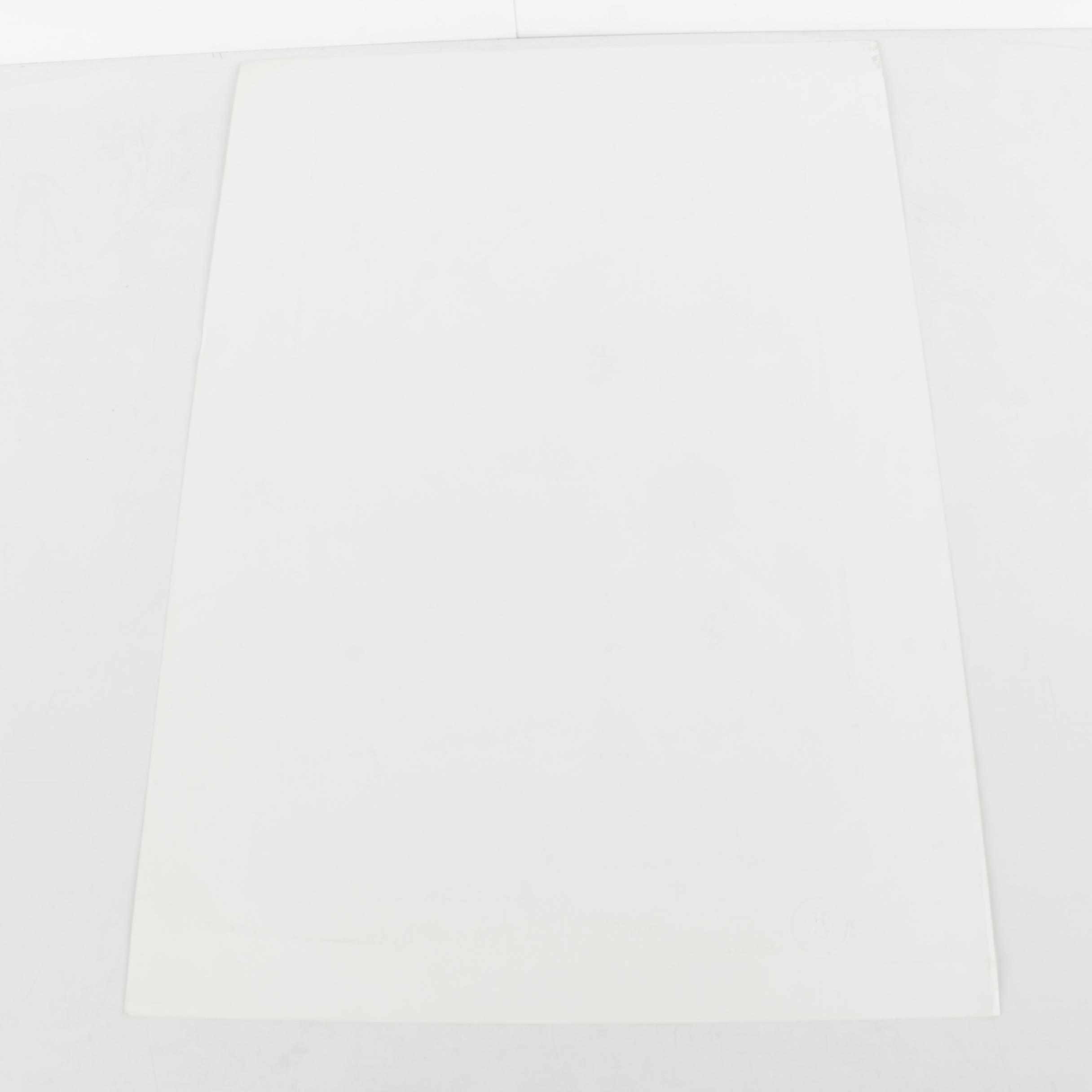 Holloway Limited Edition 1984 Ponchatoula Strawberry Festival Serigraph