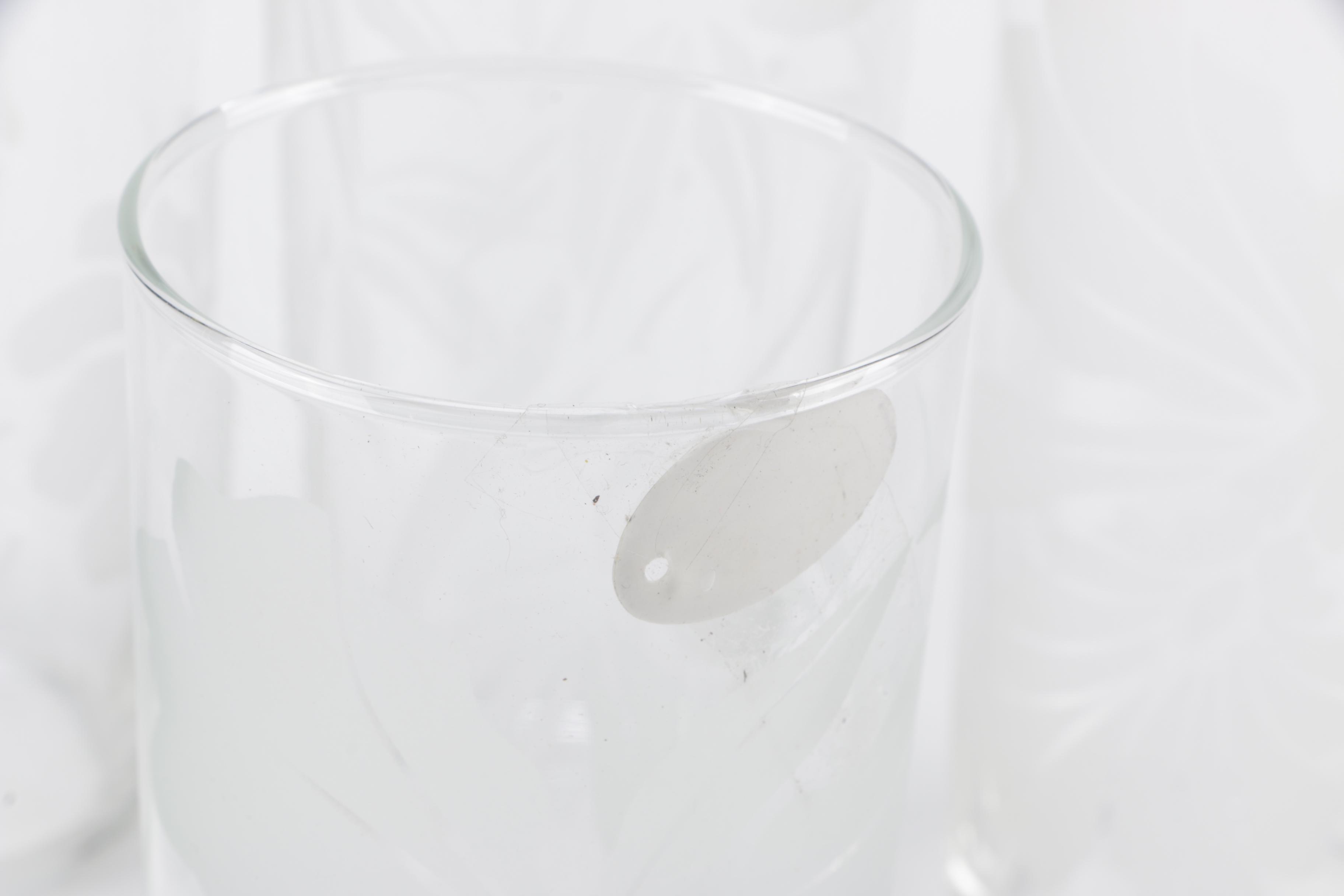 Vintage Etched Glass Tumbers