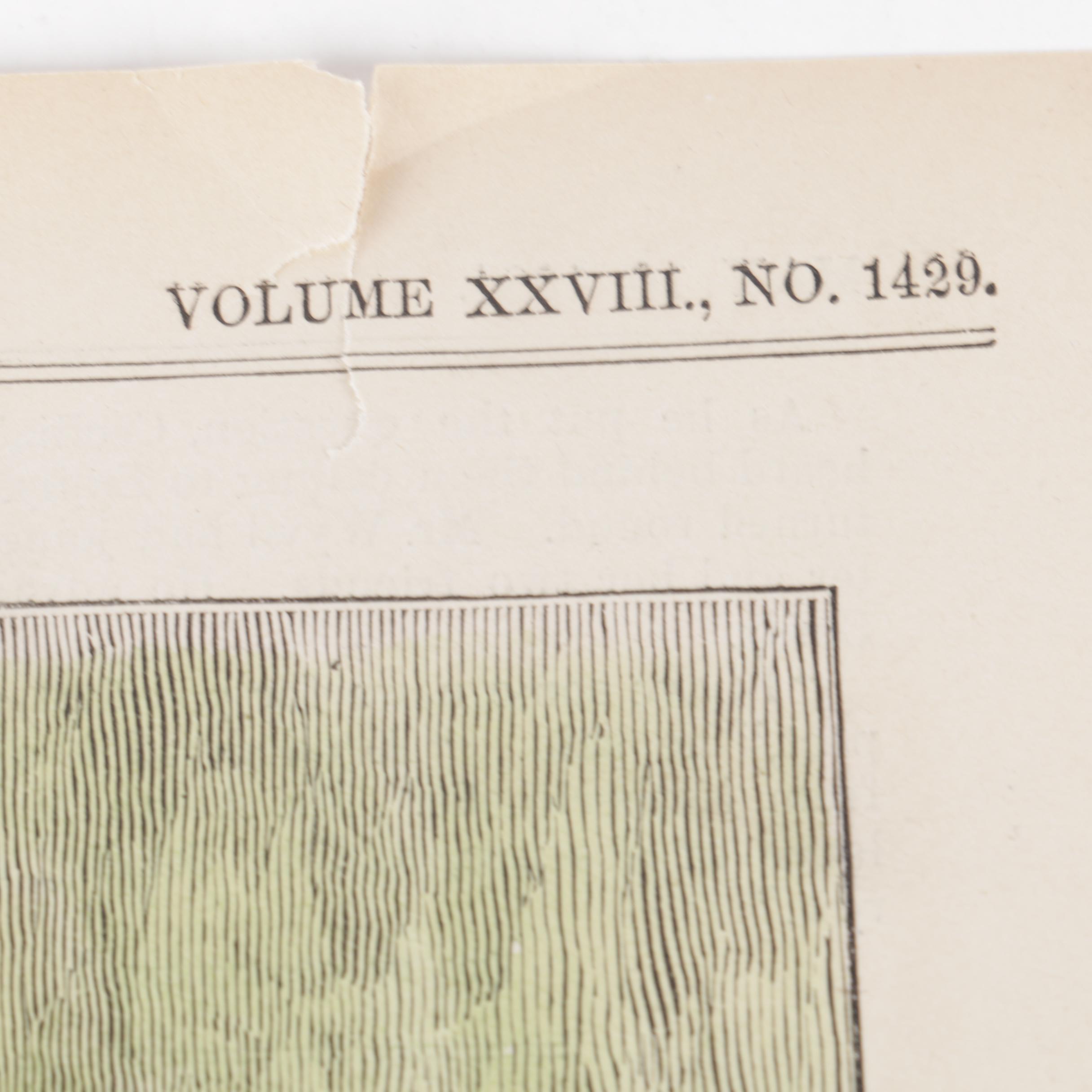 Hand Colored Harper's Weekly Wood Engraving and 1896 Leslie's Weekly Publication