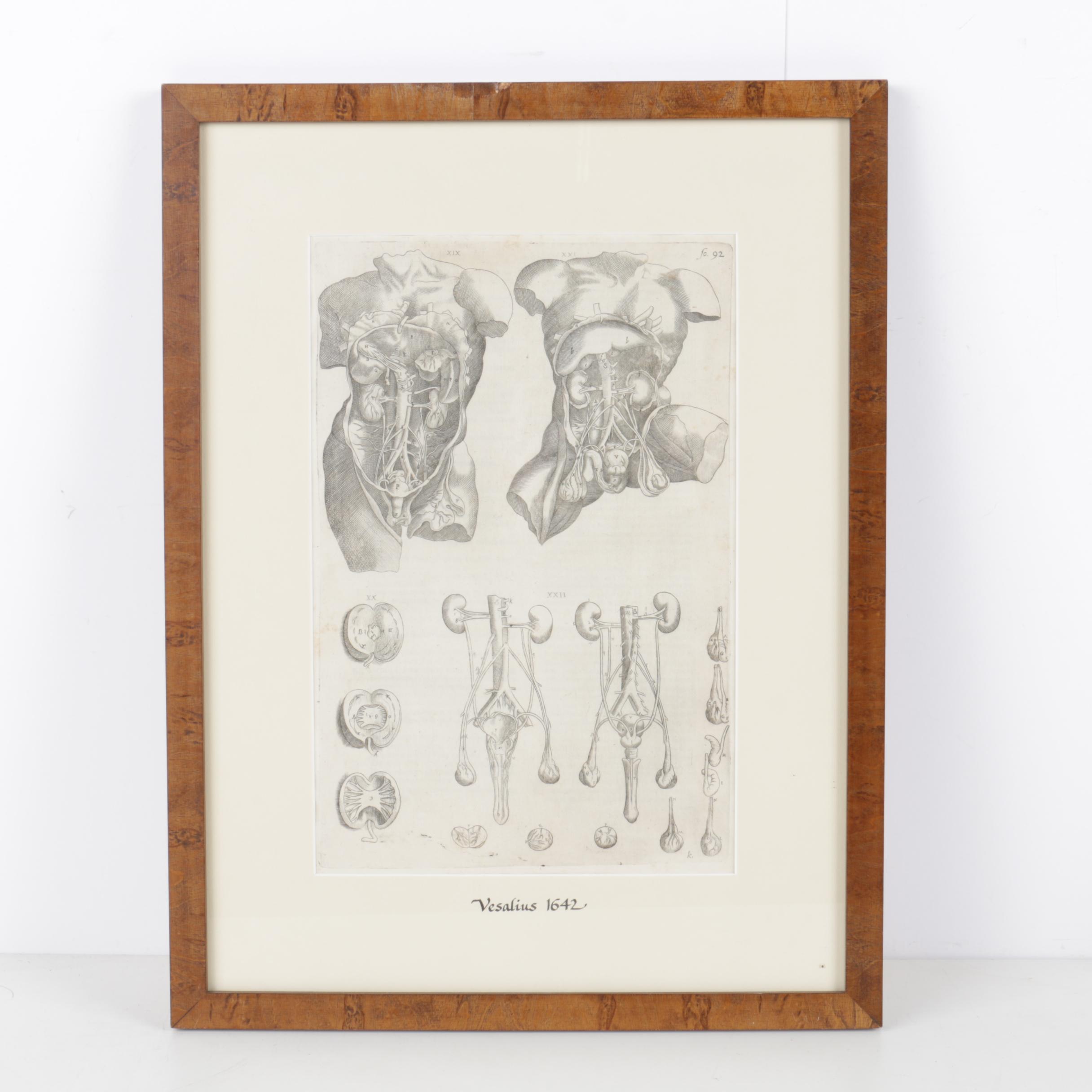 Etchings Including Jacques Villon Aquatint After Bonnard's "La Femme au Chien"