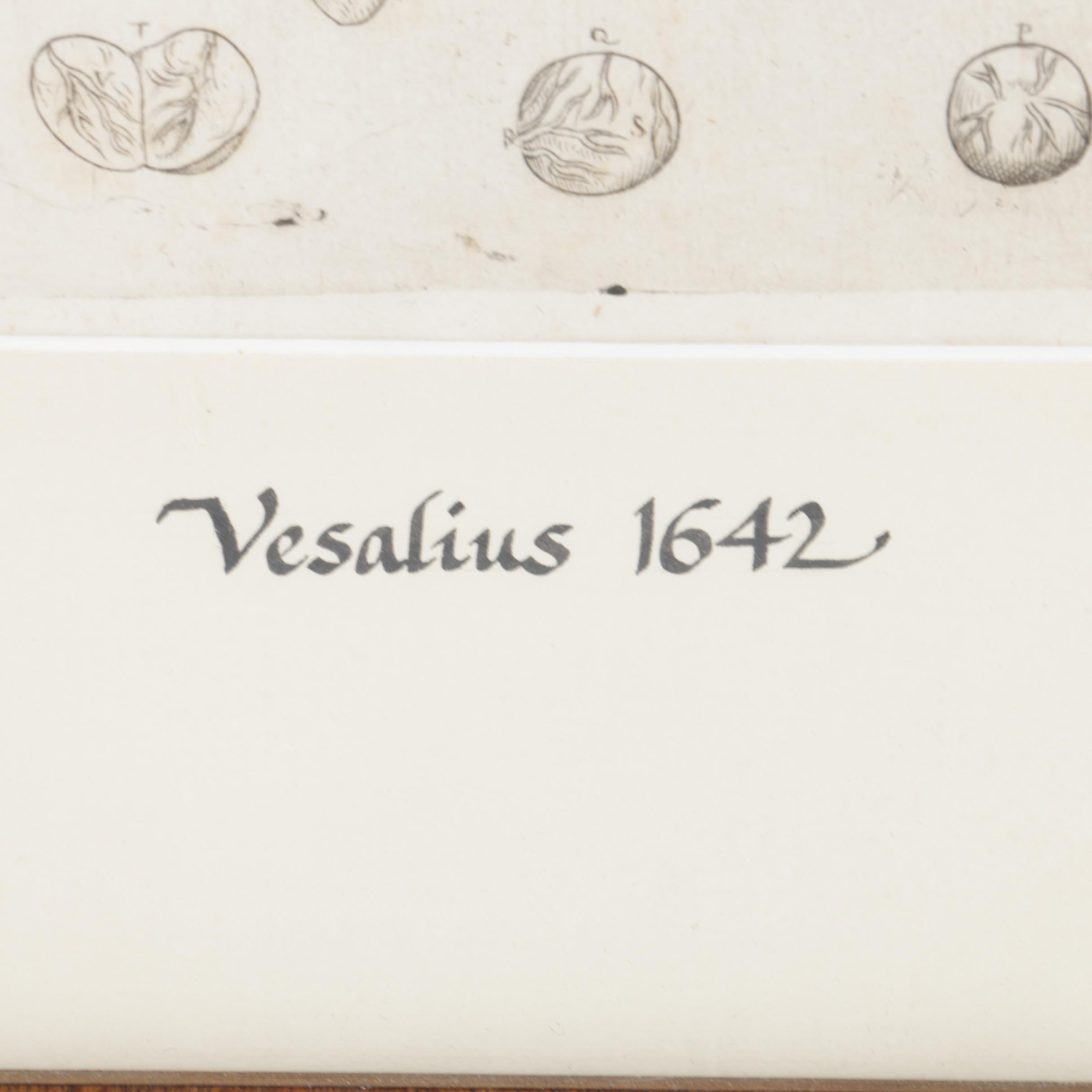 Etchings Including Jacques Villon Aquatint After Bonnard's "La Femme au Chien"